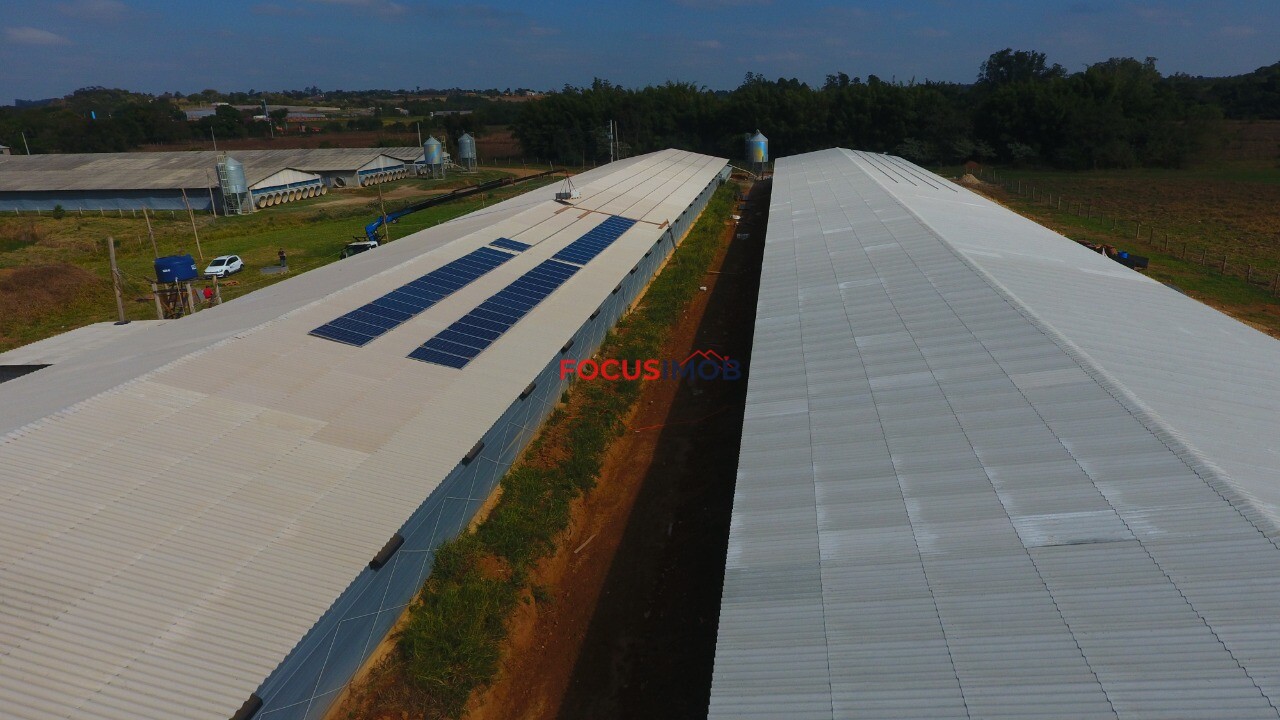 Excelente granja avícola em plena produção, ideal para investidores