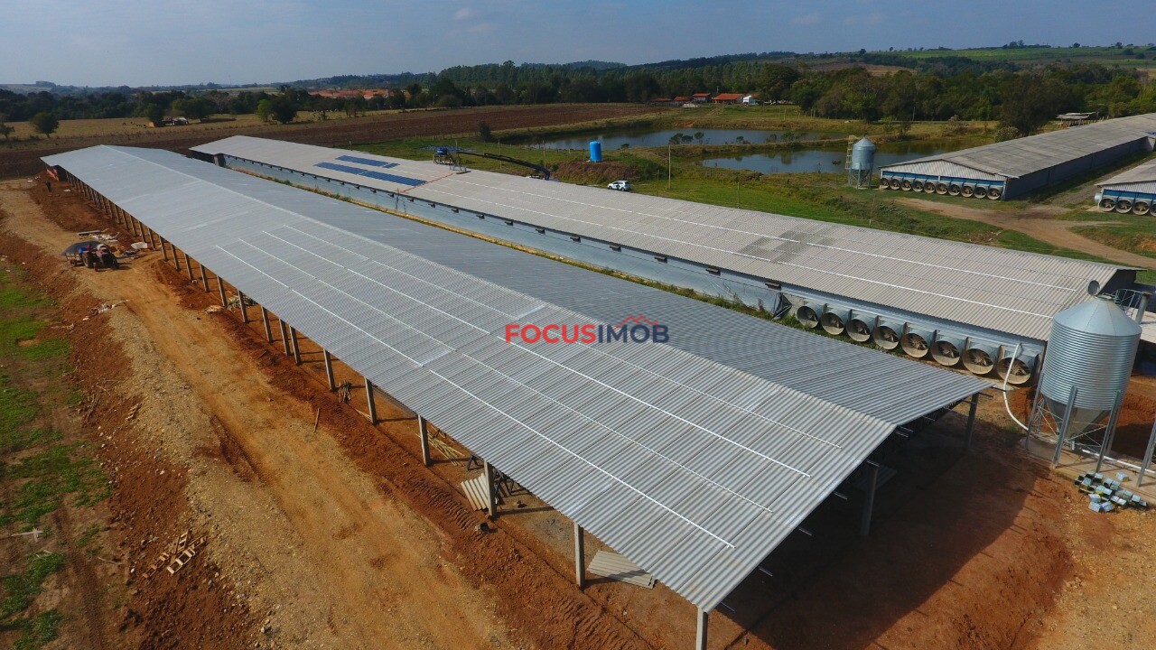 Excelente granja avícola em plena produção, ideal para investidores