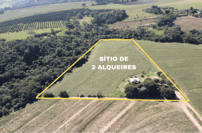 Excelente Sítio de 2 Alqueires em Conchal – Fácil Acesso e Documentação OK
