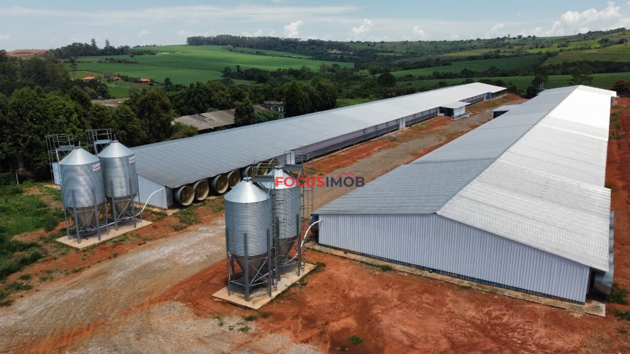 Granja em Plena Produção – Estrutura Completa e Totalmente Automatizada