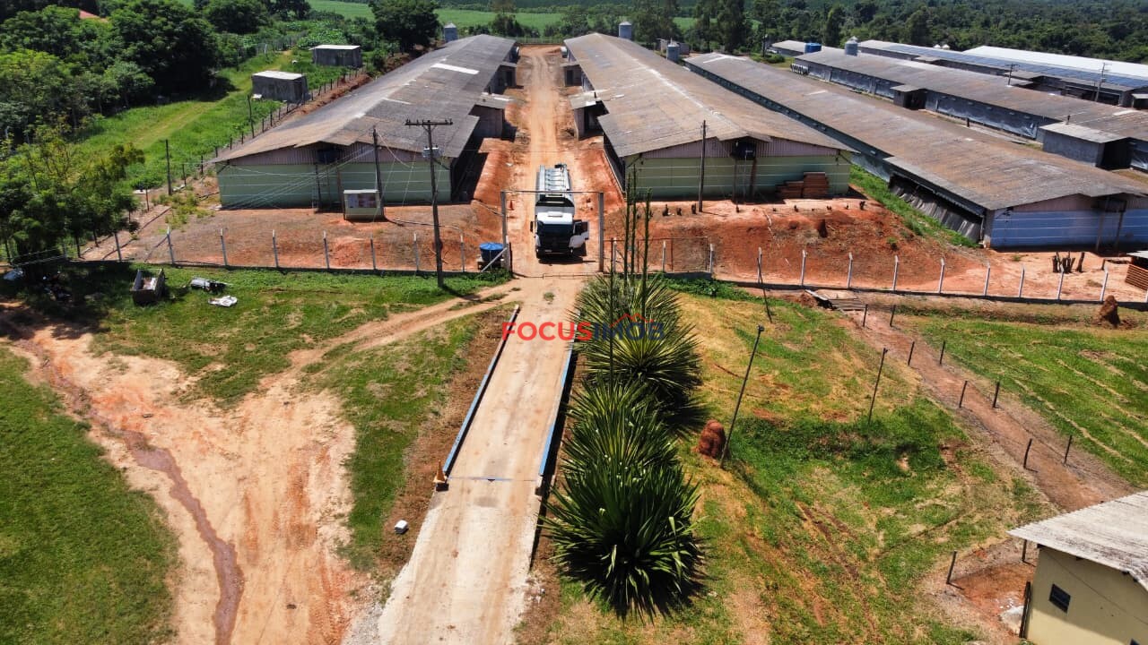 Granja em Plena Produção – Estrutura Completa e Totalmente Automatizada