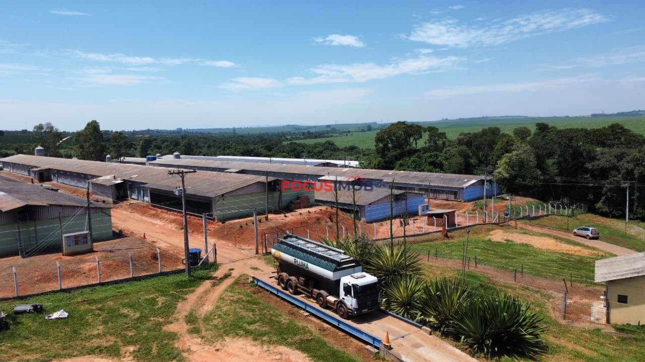 Granja em Plena Produção – Estrutura Completa e Totalmente Automatizada