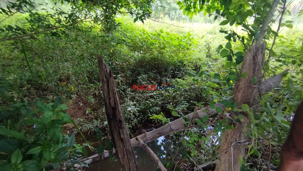 EXCLUSIVIDADE🌿 EXCELENTE SÍTIO À VENDA – OPORTUNIDADE ÚNICA NA REGIÃO DE Santo Antônio de Posse 🌿