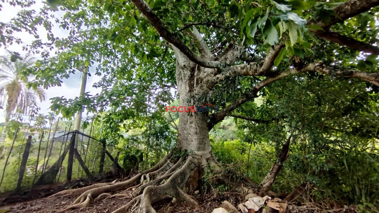 EXCLUSIVIDADE🌿 EXCELENTE SÍTIO À VENDA – OPORTUNIDADE ÚNICA NA REGIÃO DE Santo Antônio de Posse 🌿