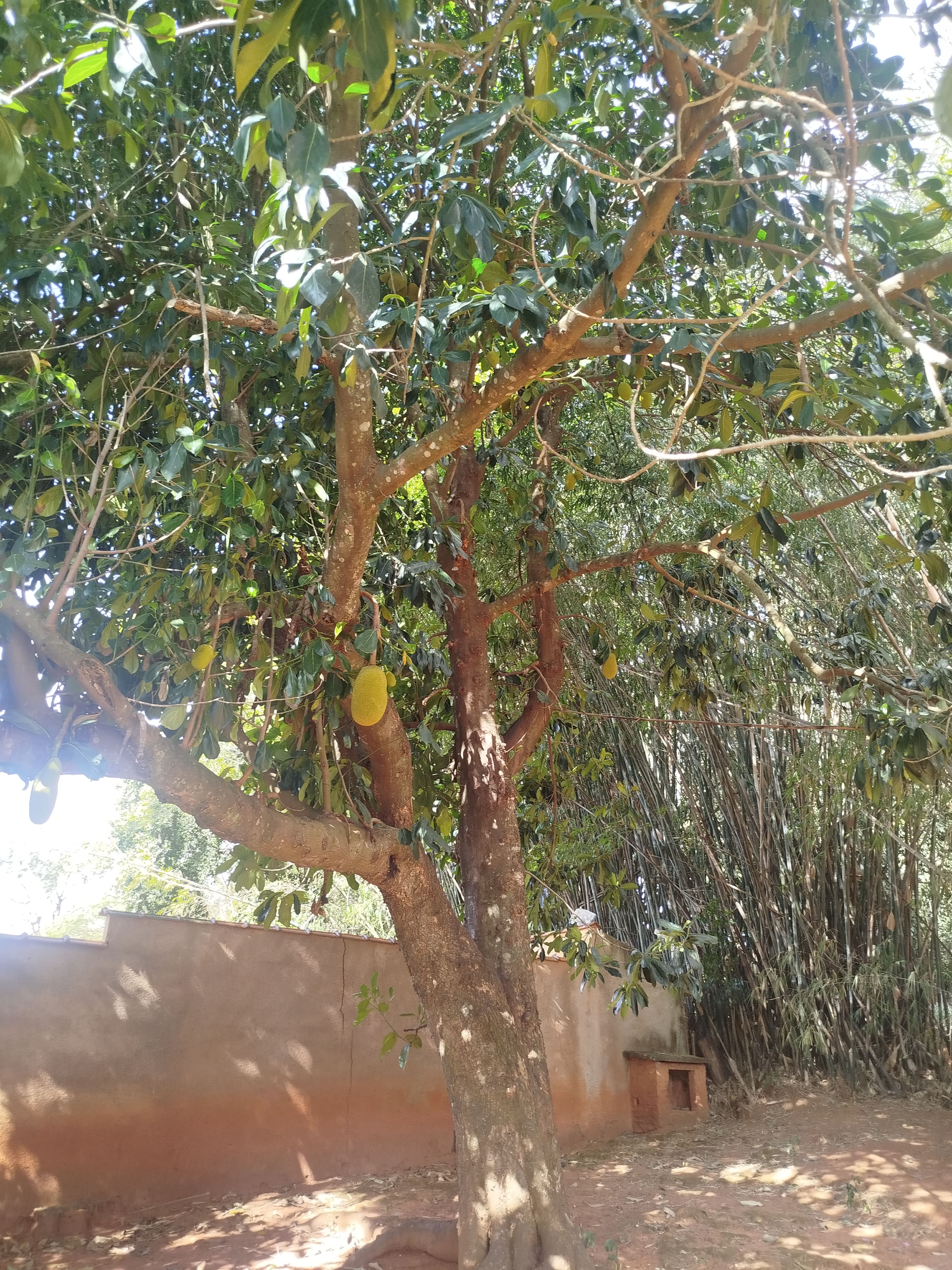 Sítio com casa colonial em excelente localização