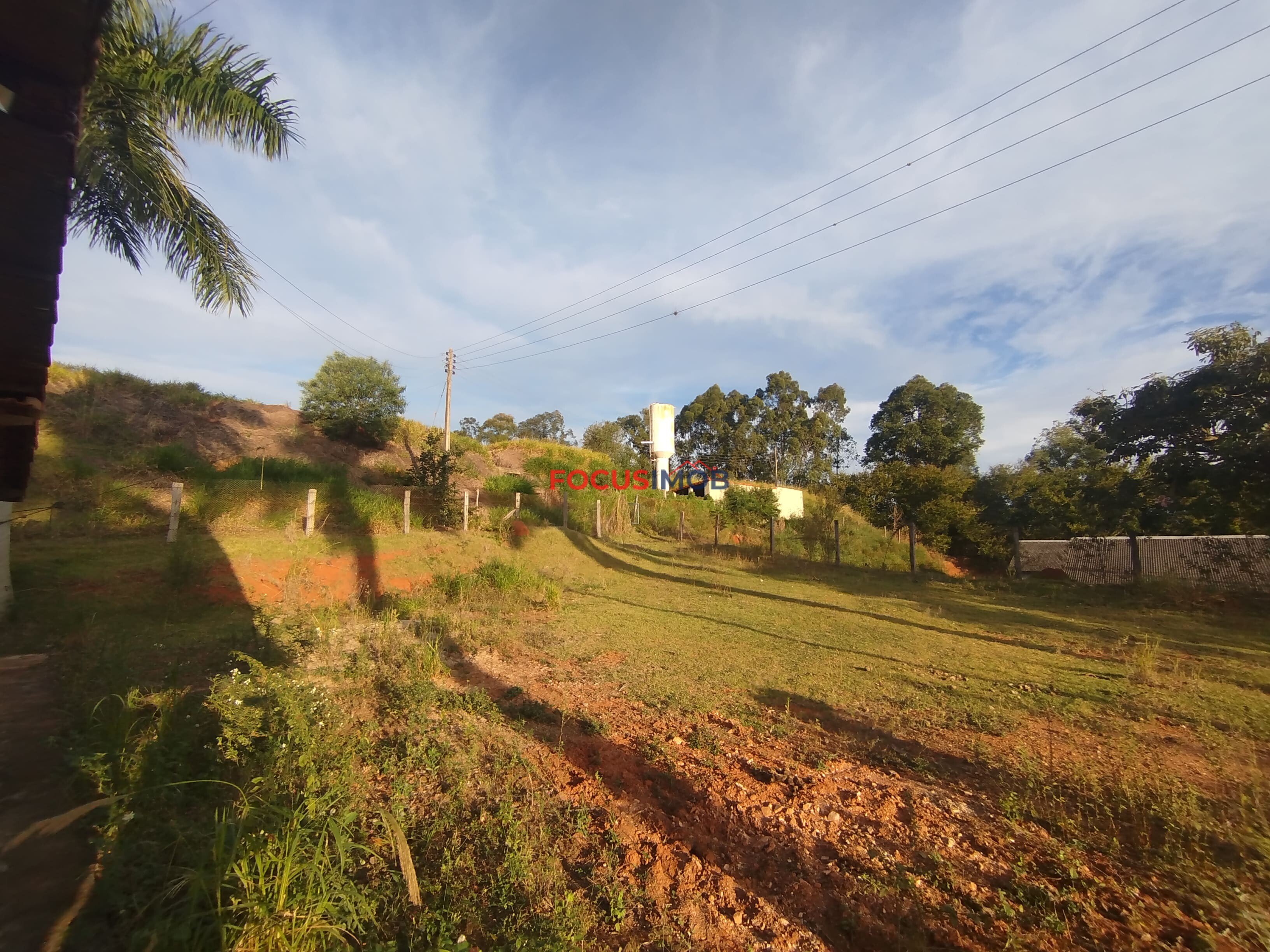 🏡 Granja Produtiva e Automatizada à Venda – Excelente Oportunidade de Investimento!