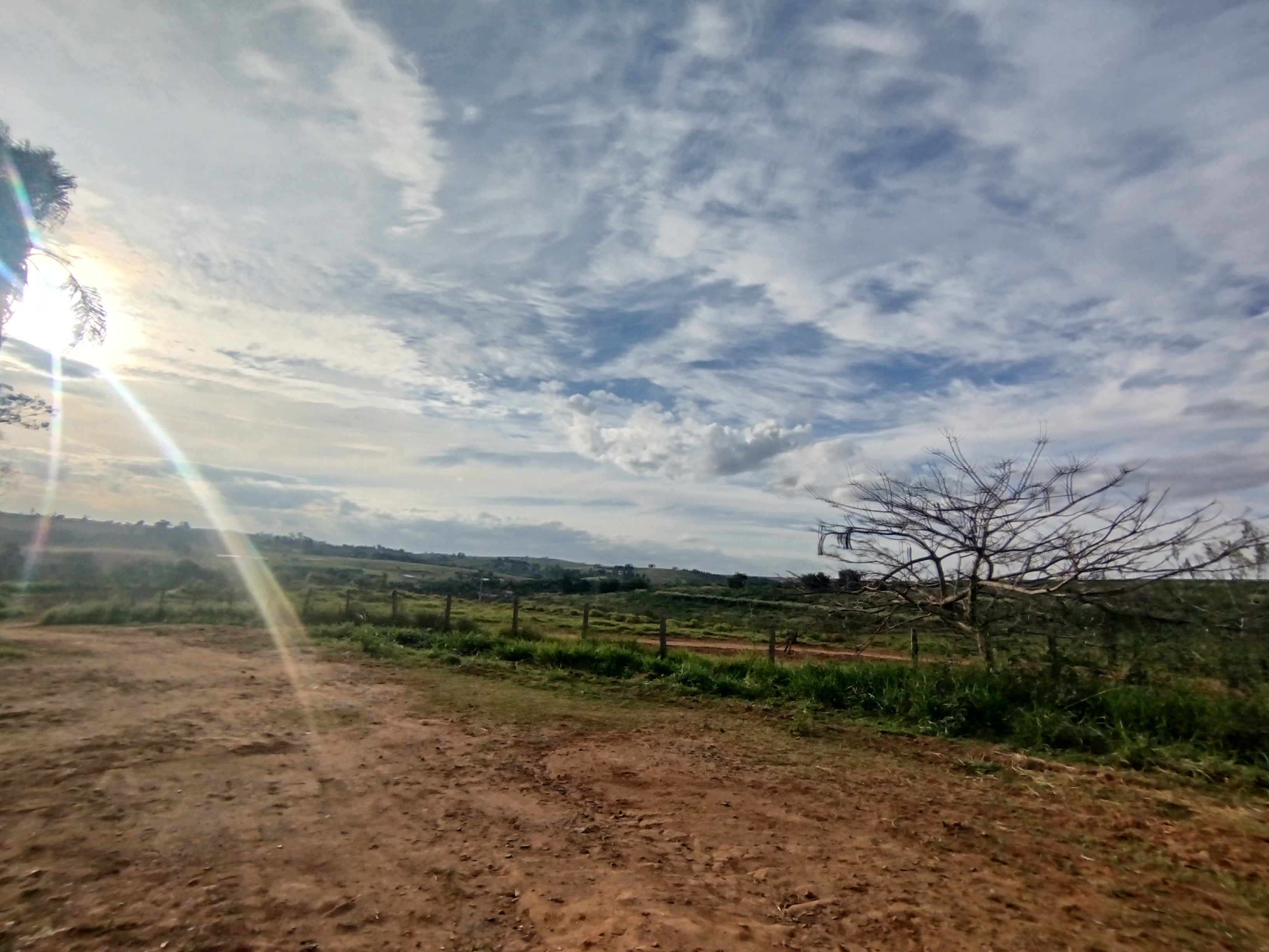🏡 Granja Produtiva e Automatizada à Venda – Excelente Oportunidade de Investimento!