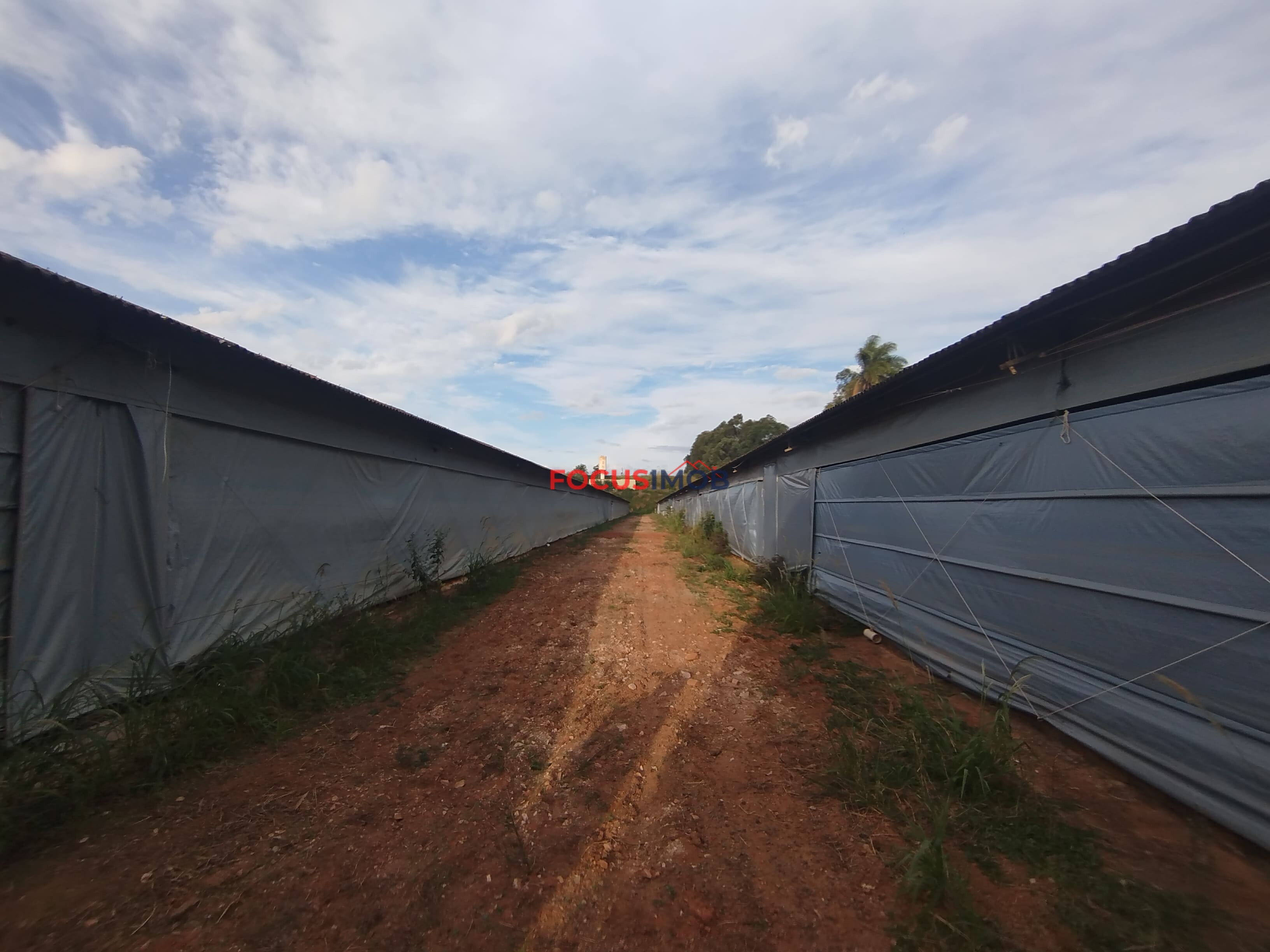 🏡 Granja Produtiva e Automatizada à Venda – Excelente Oportunidade de Investimento!