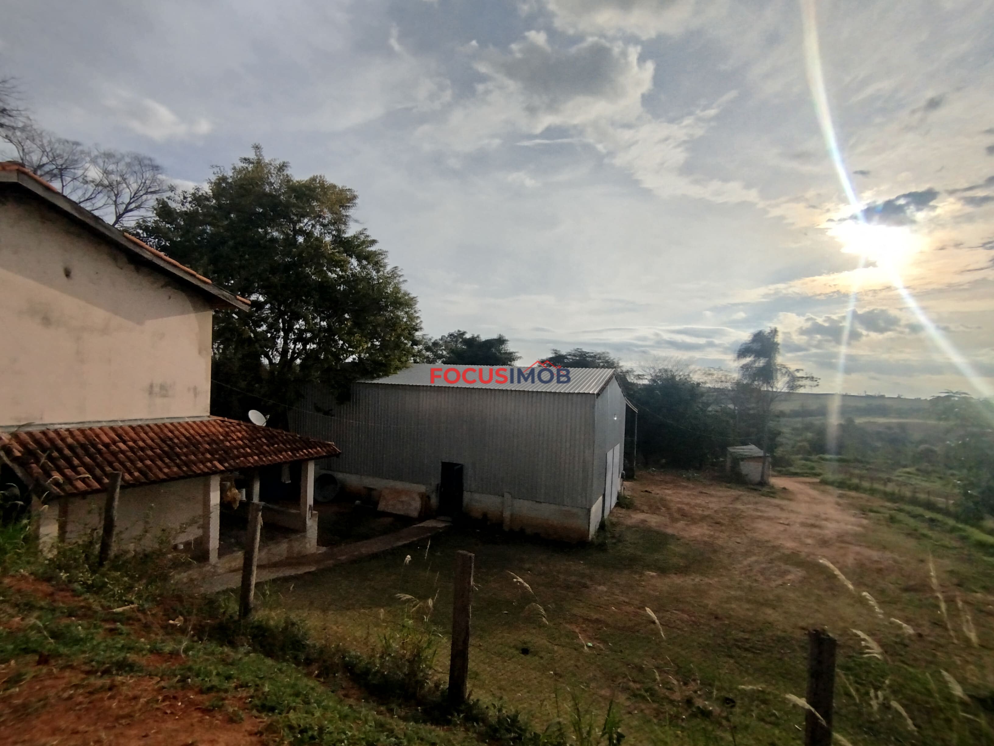 🏡 Granja Produtiva e Automatizada à Venda – Excelente Oportunidade de Investimento!