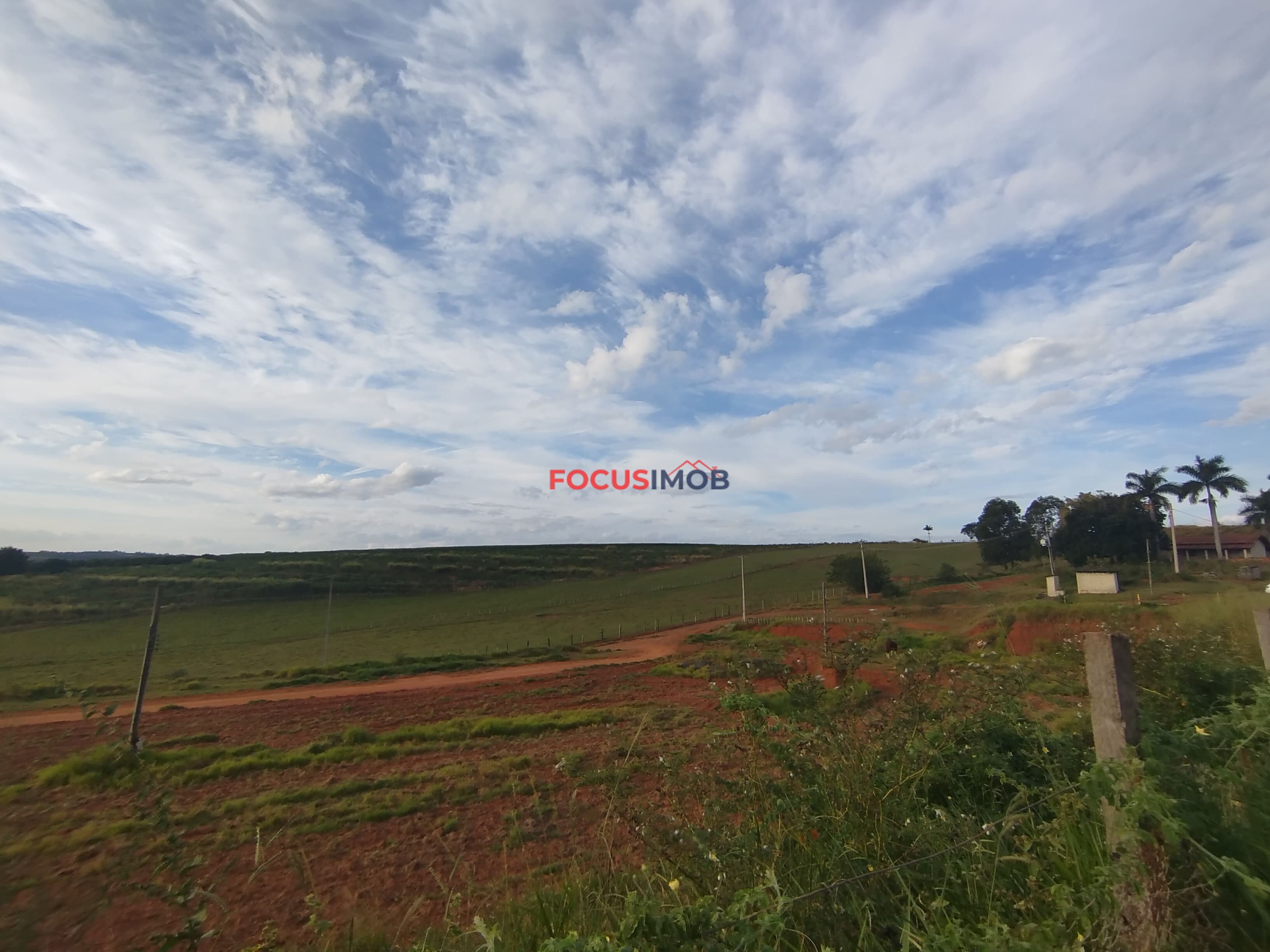 🏡 Granja Produtiva e Automatizada à Venda – Excelente Oportunidade de Investimento!