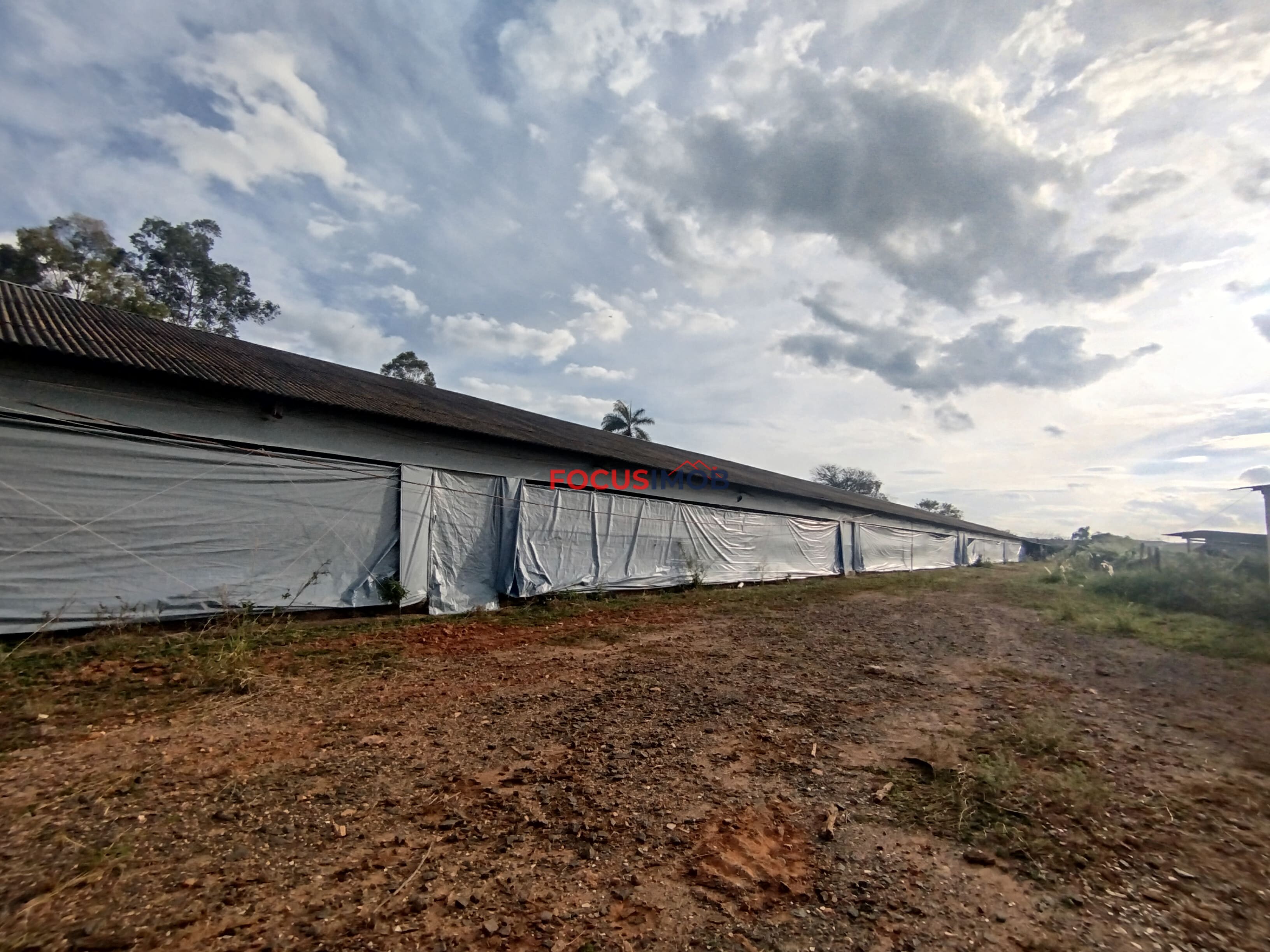 🏡 Granja Produtiva e Automatizada à Venda – Excelente Oportunidade de Investimento!