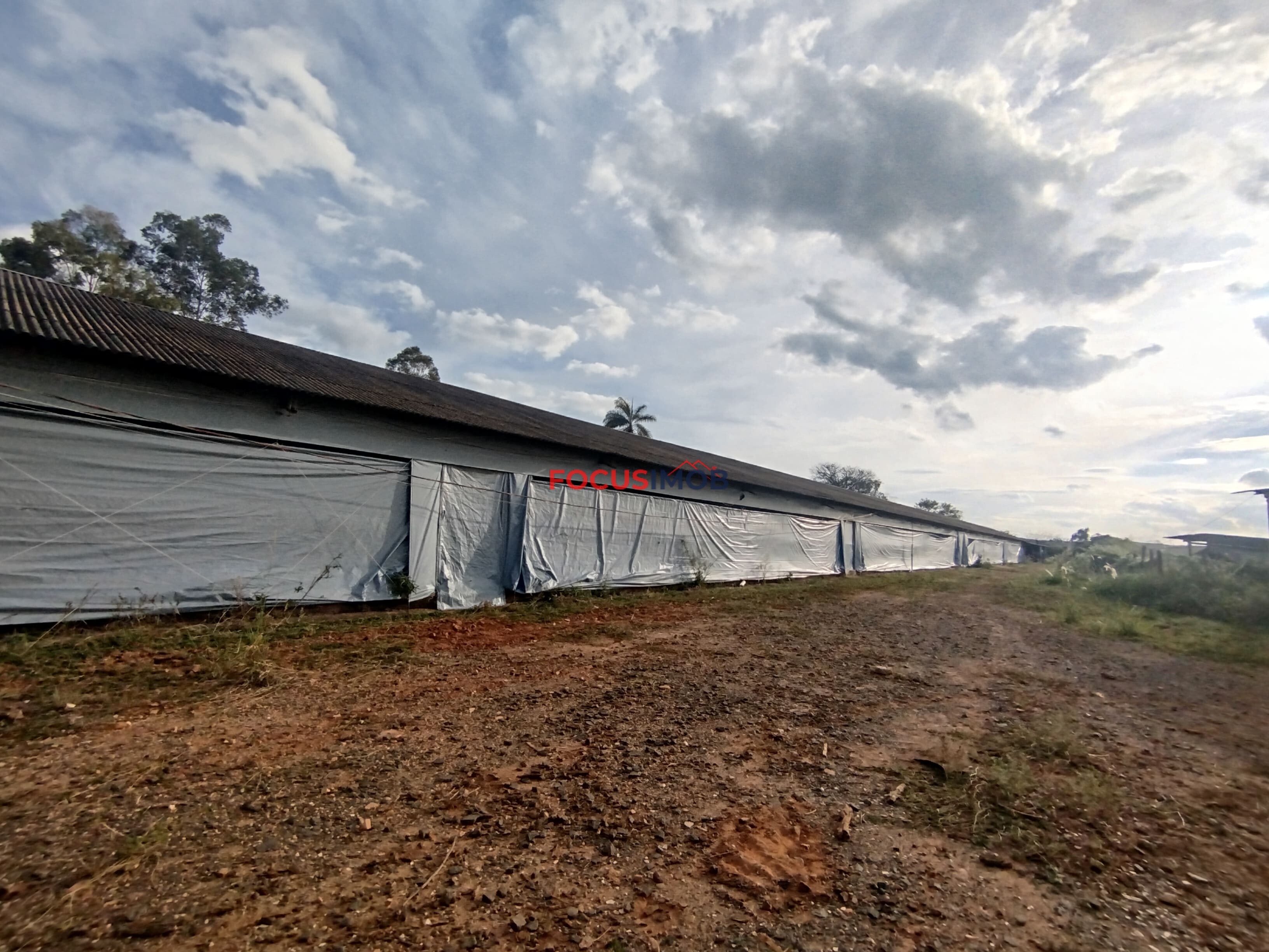 🏡 Granja Produtiva e Automatizada à Venda – Excelente Oportunidade de Investimento!