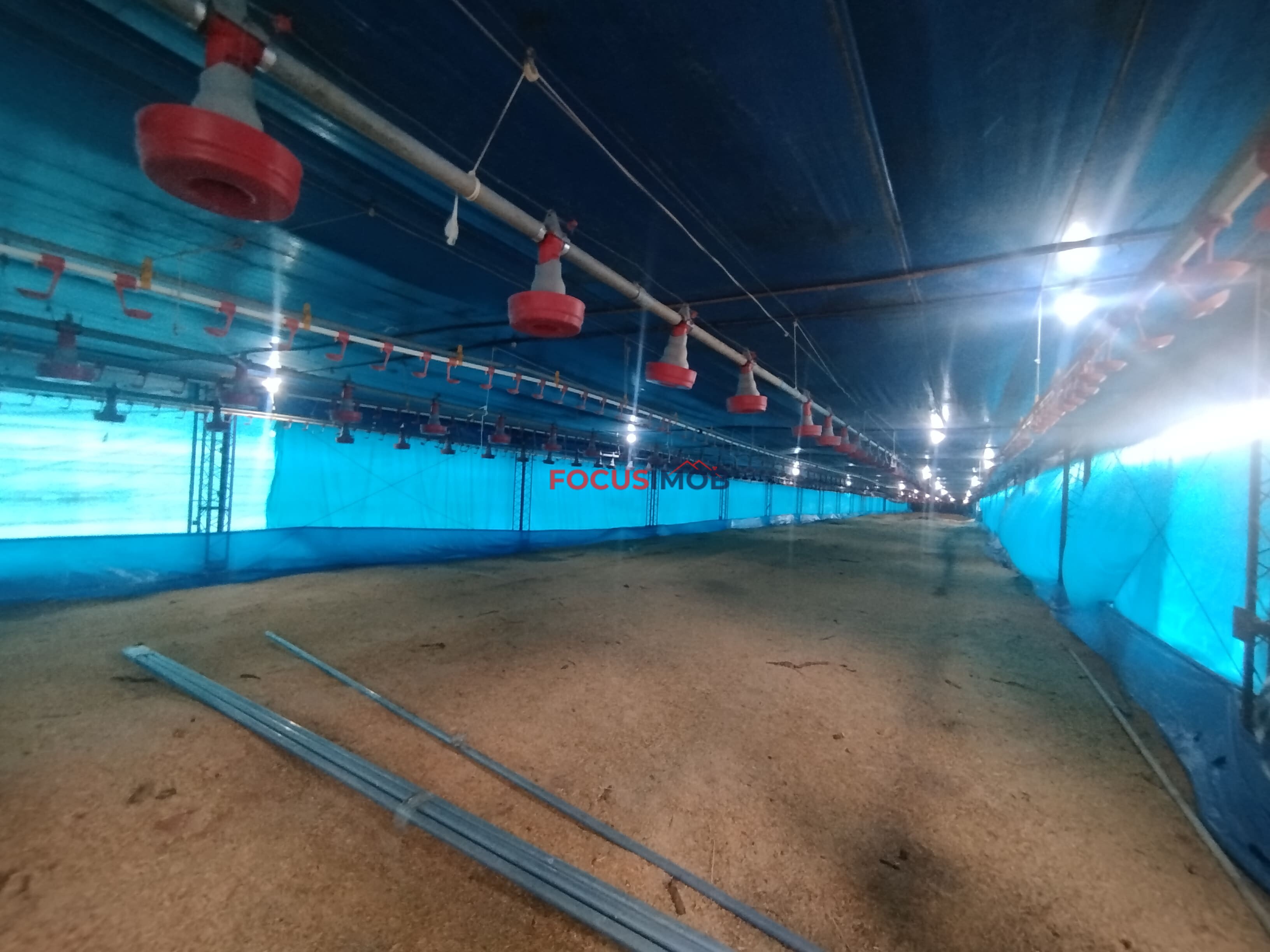 🏡 Granja Produtiva e Automatizada à Venda – Excelente Oportunidade de Investimento!