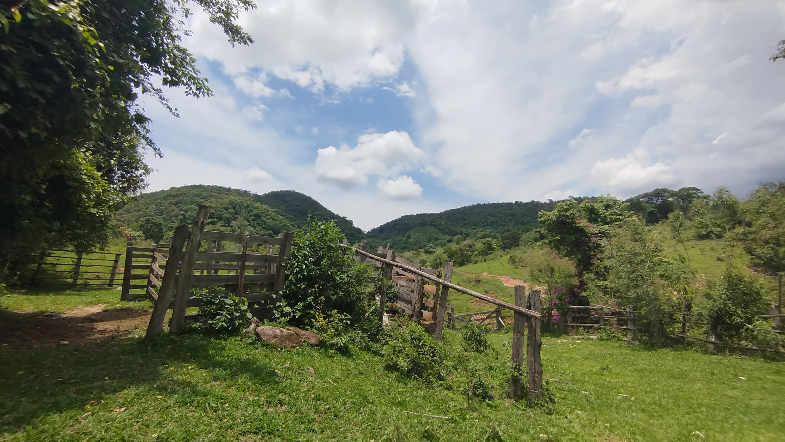 Sítio de 10 alqueires para Venda