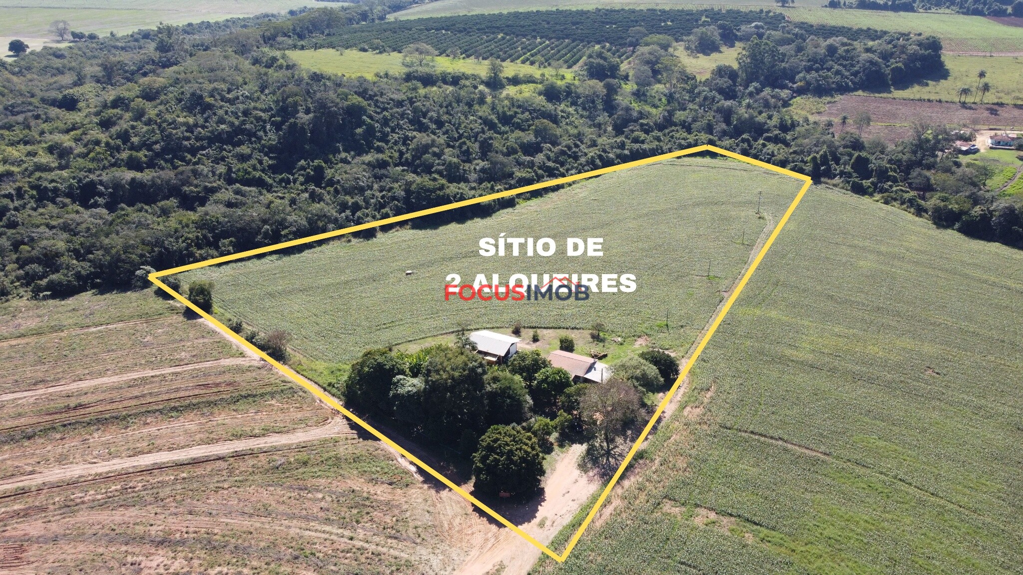 Excelente Sítio de 2 Alqueires em Conchal – Fácil Acesso e Documentação OK