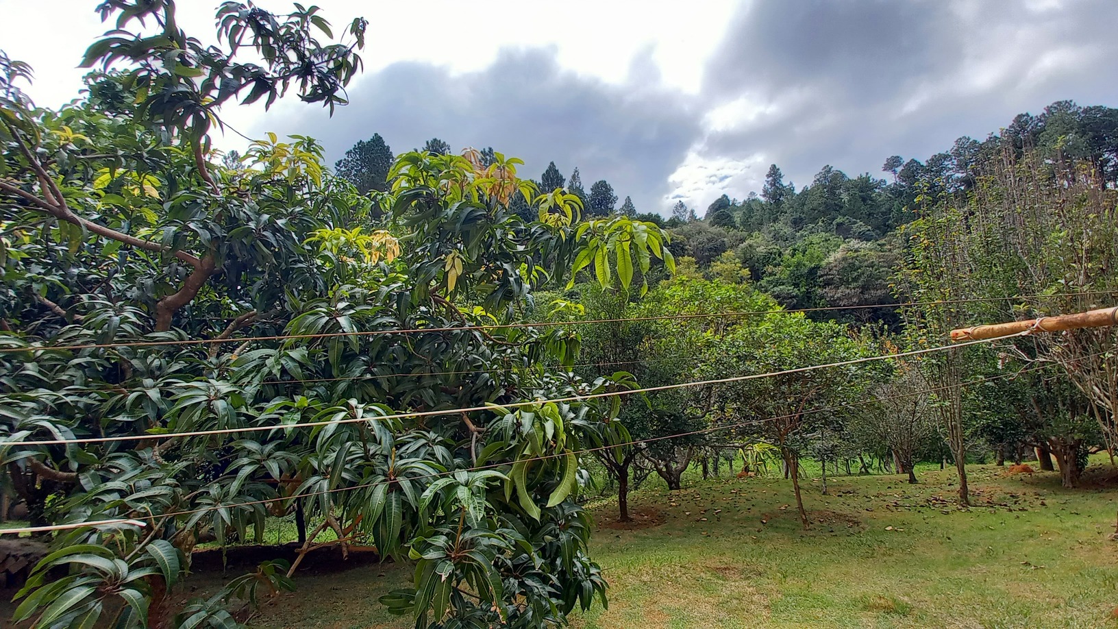 Encantadora Chácara no Coração de Águas de Lindóia!