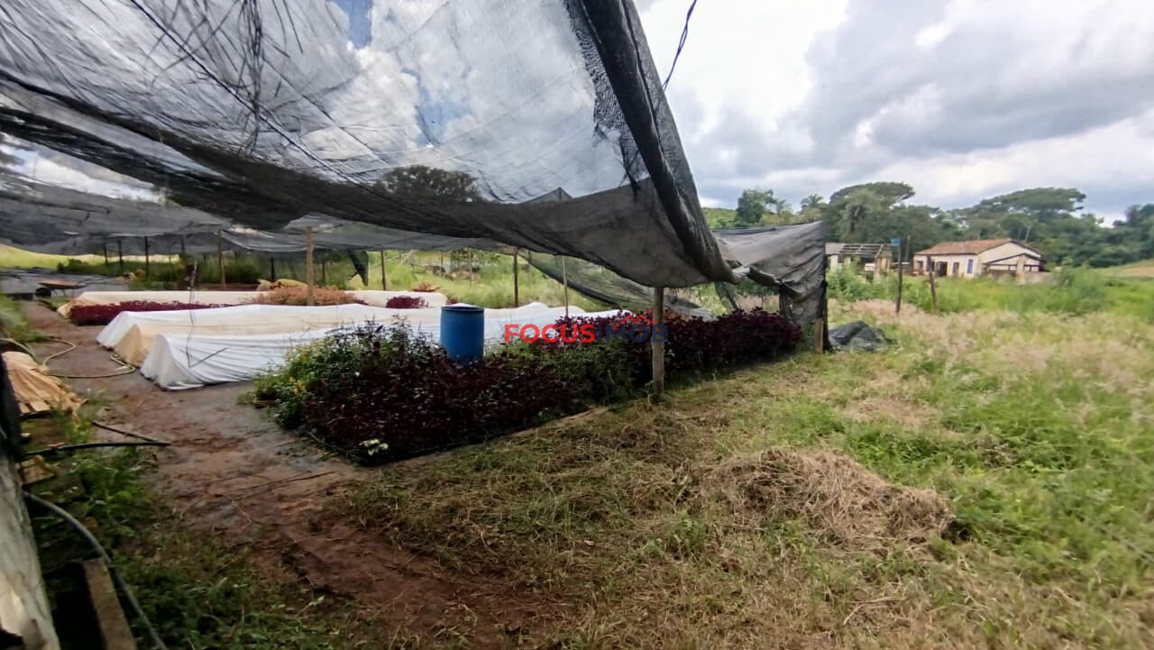 EXCLUSIVIDADE🌿 EXCELENTE SÍTIO À VENDA – OPORTUNIDADE ÚNICA NA REGIÃO DE Santo Antônio de Posse 🌿