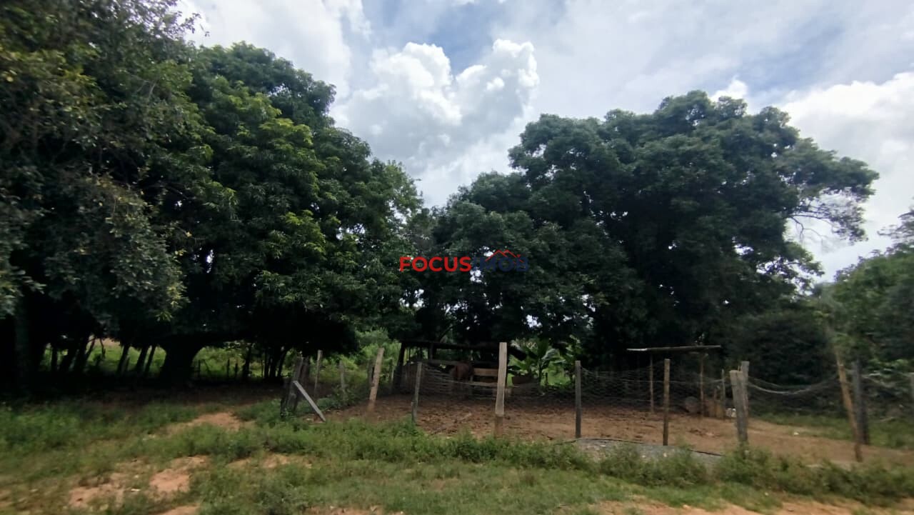 EXCLUSIVIDADE🌿 EXCELENTE SÍTIO À VENDA – OPORTUNIDADE ÚNICA NA REGIÃO DE Santo Antônio de Posse 🌿