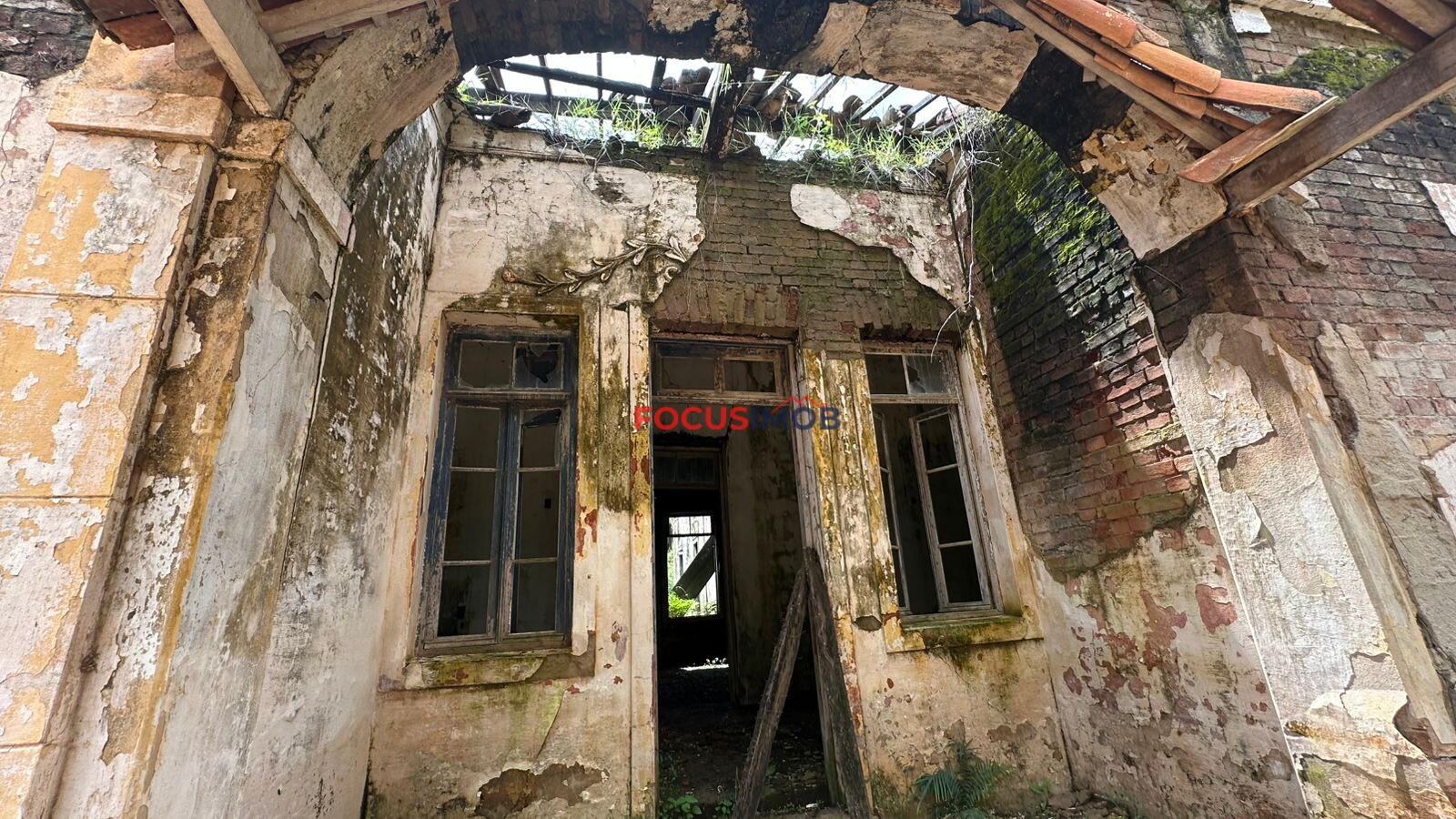 EXCLUSIVIDADE🌿 EXCELENTE SÍTIO À VENDA – OPORTUNIDADE ÚNICA NA REGIÃO DE Santo Antônio de Posse 🌿