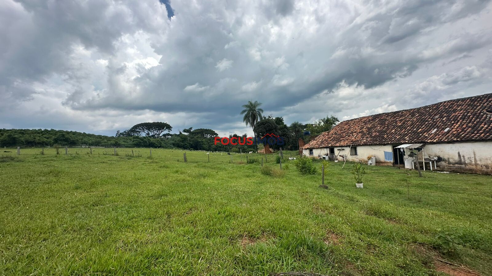 EXCLUSIVIDADE🌿 EXCELENTE SÍTIO À VENDA – OPORTUNIDADE ÚNICA NA REGIÃO DE Santo Antônio de Posse 🌿