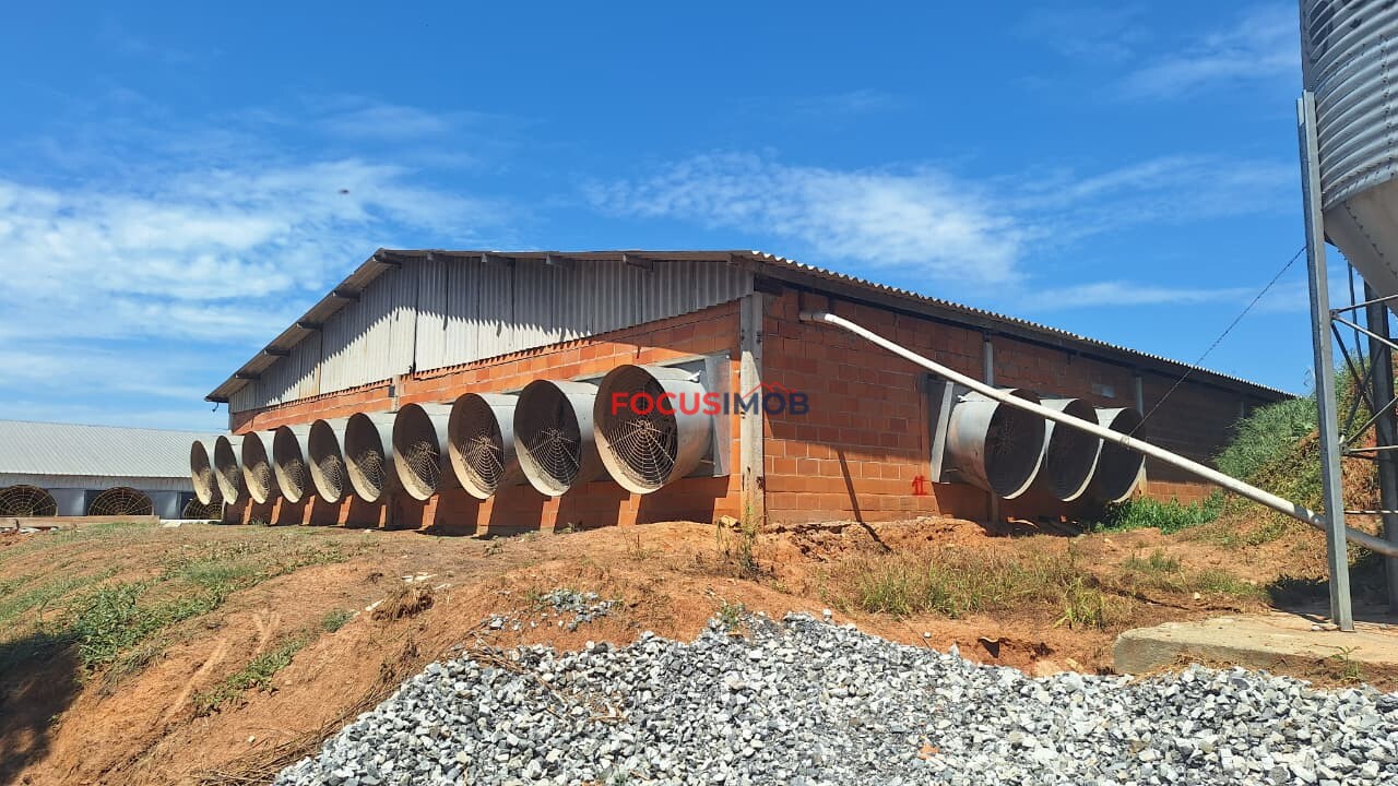 Granja em Plena Produção – Estrutura Completa e Totalmente Automatizada