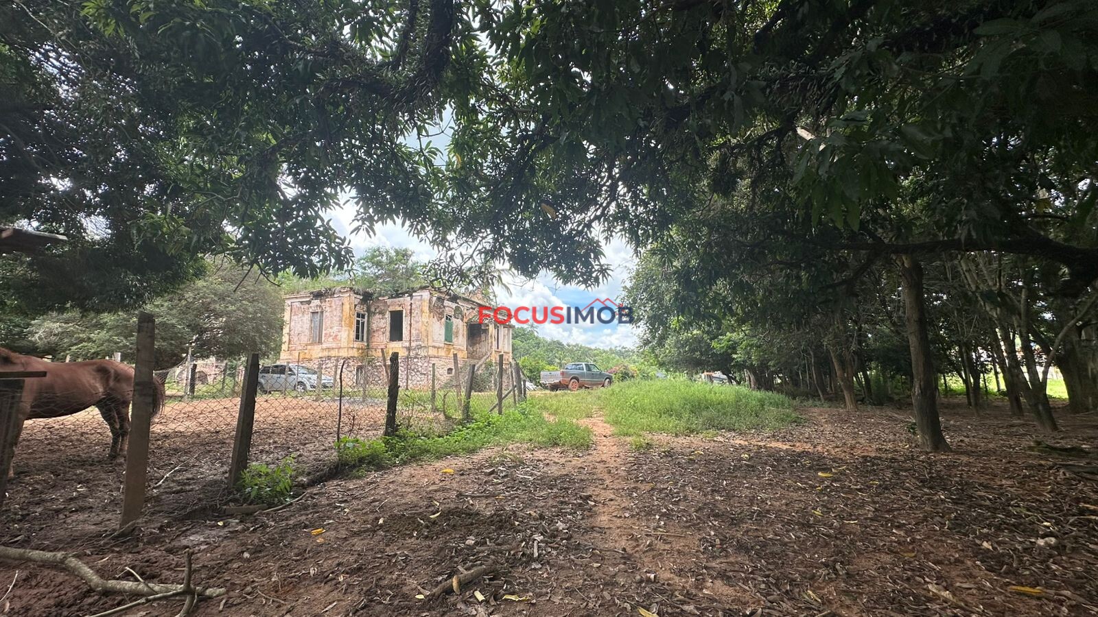 EXCLUSIVIDADE🌿 EXCELENTE SÍTIO À VENDA – OPORTUNIDADE ÚNICA NA REGIÃO DE Santo Antônio de Posse 🌿