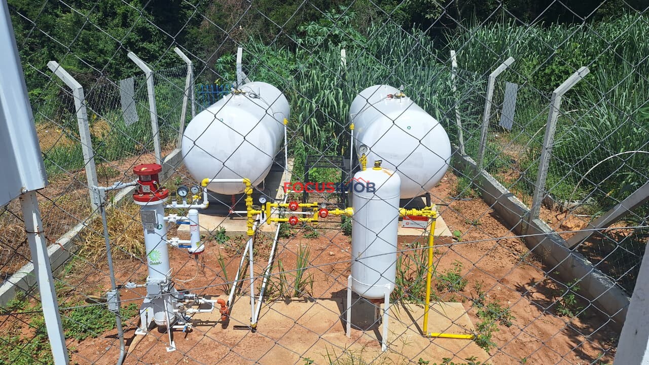 Granja em Plena Produção – Estrutura Completa e Totalmente Automatizada