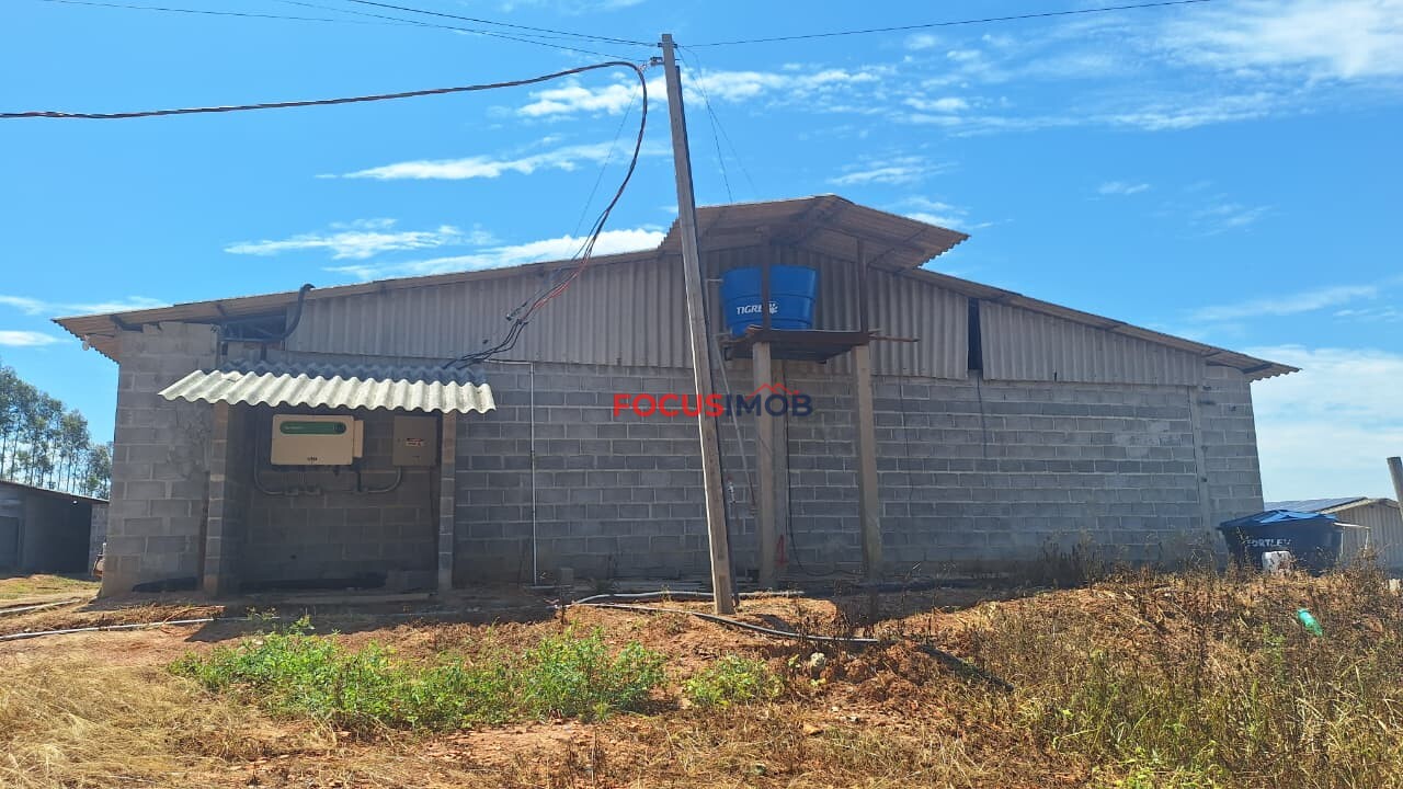 Granja em Plena Produção – Estrutura Completa e Totalmente Automatizada