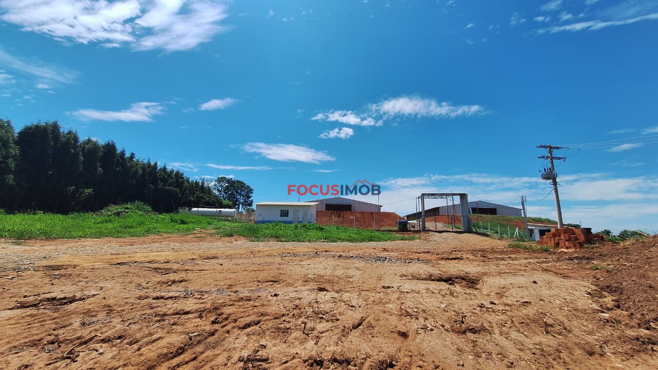 Granja em Plena Produção – Estrutura Completa e Totalmente Automatizada