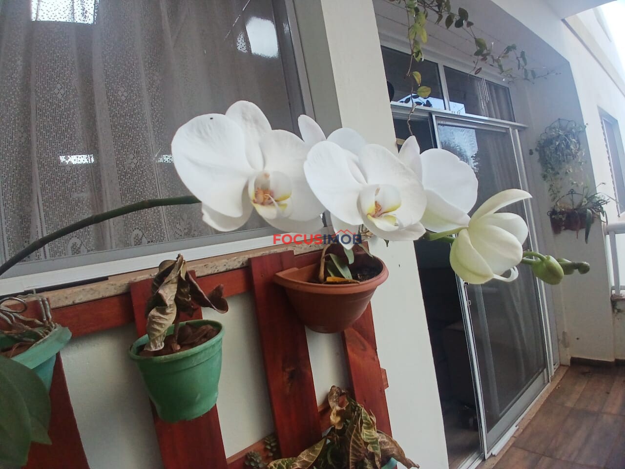 Apartamento 3 dormitórios com 1 suíte - Mogi Guaçu