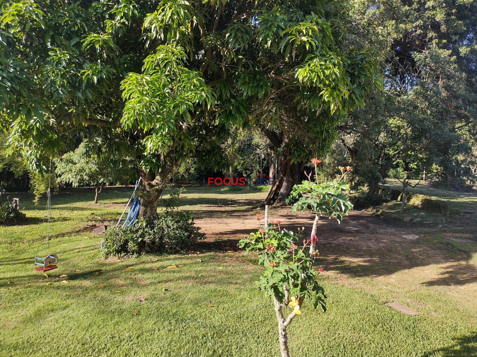 Sítio em Amparo SP