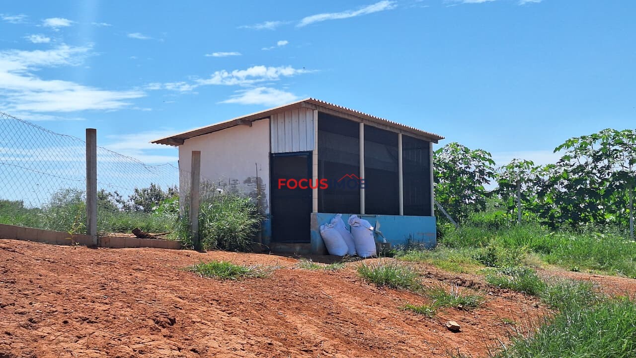 Granja em Plena Produção – Estrutura Completa e Totalmente Automatizada