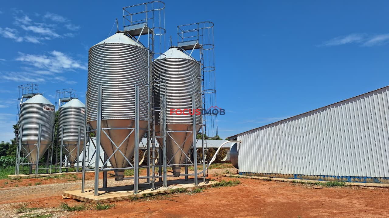 Granja em Plena Produção – Estrutura Completa e Totalmente Automatizada