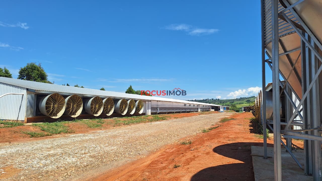 Granja em Plena Produção – Estrutura Completa e Totalmente Automatizada