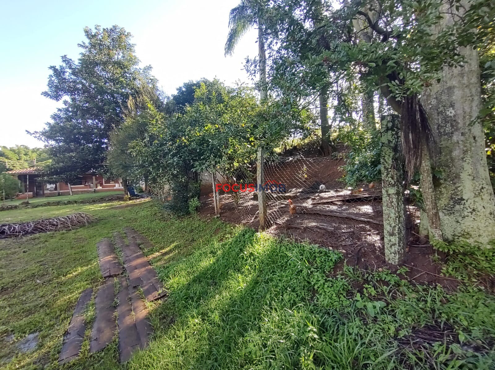 Sítio em Amparo SP