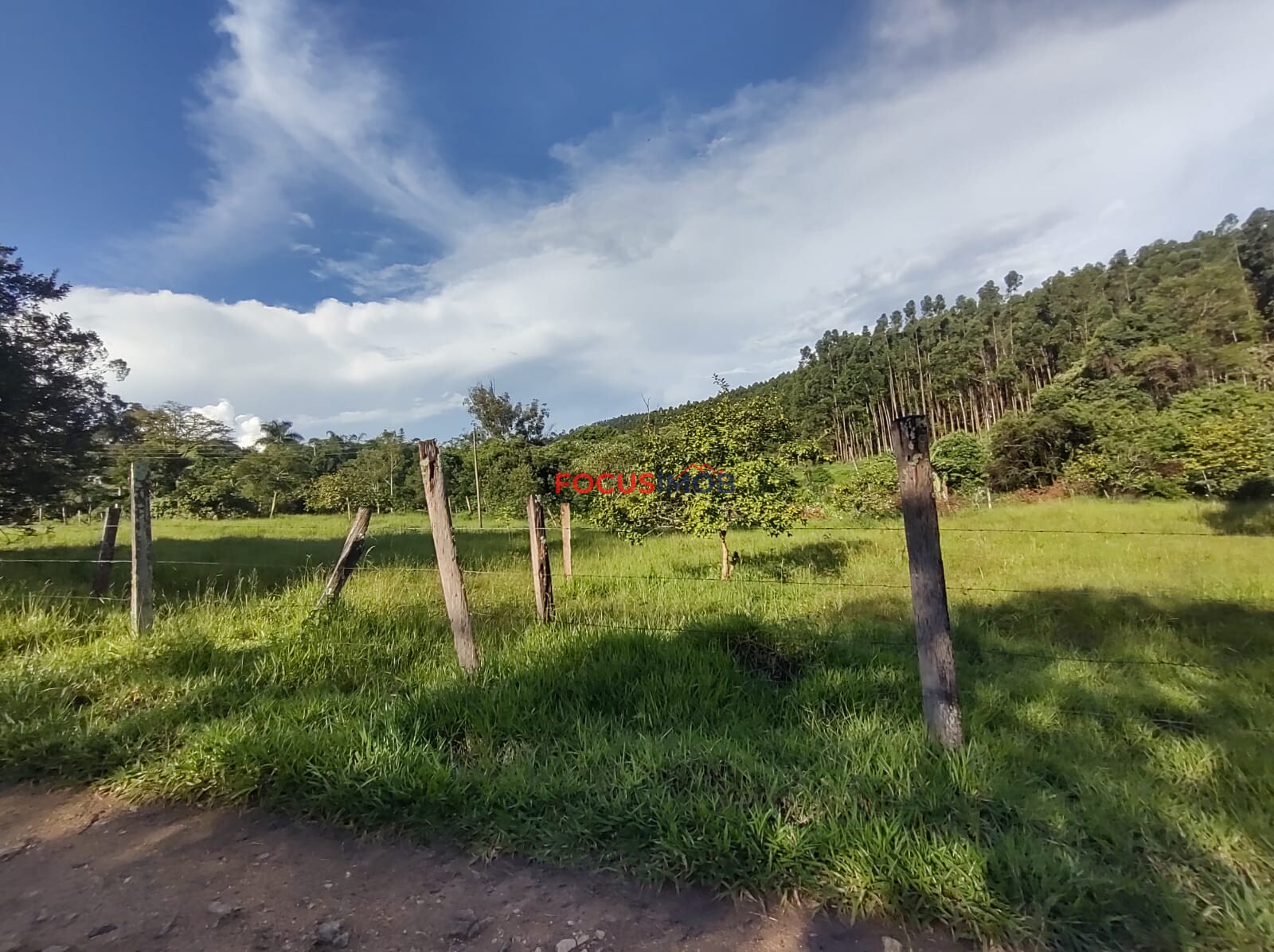 Sítio em Amparo SP