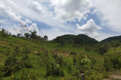 Sítio de 10 alqueires para Venda