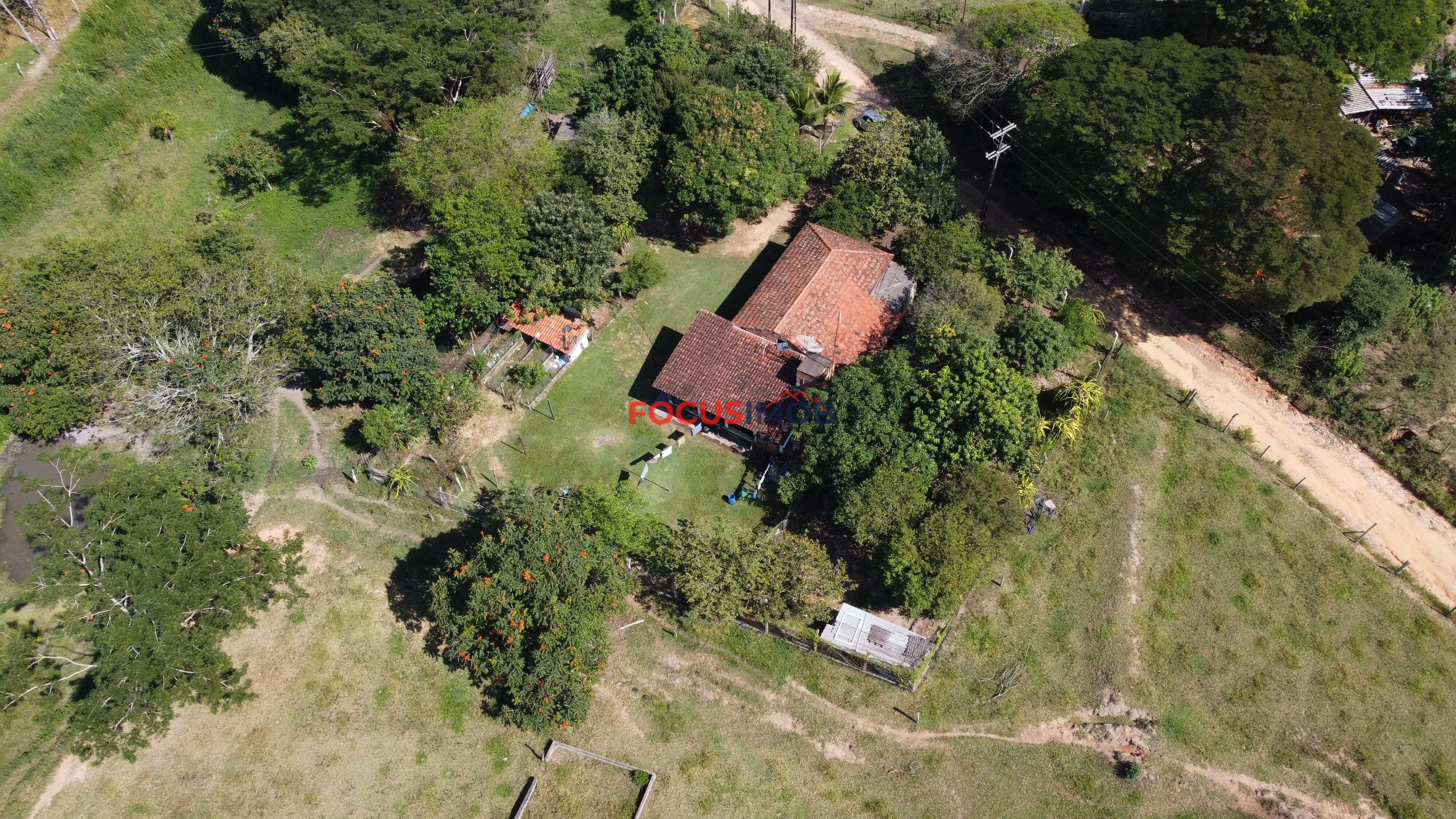 Oportunidade!!! Sitio de 3 Hectares em Mogi Mirim.