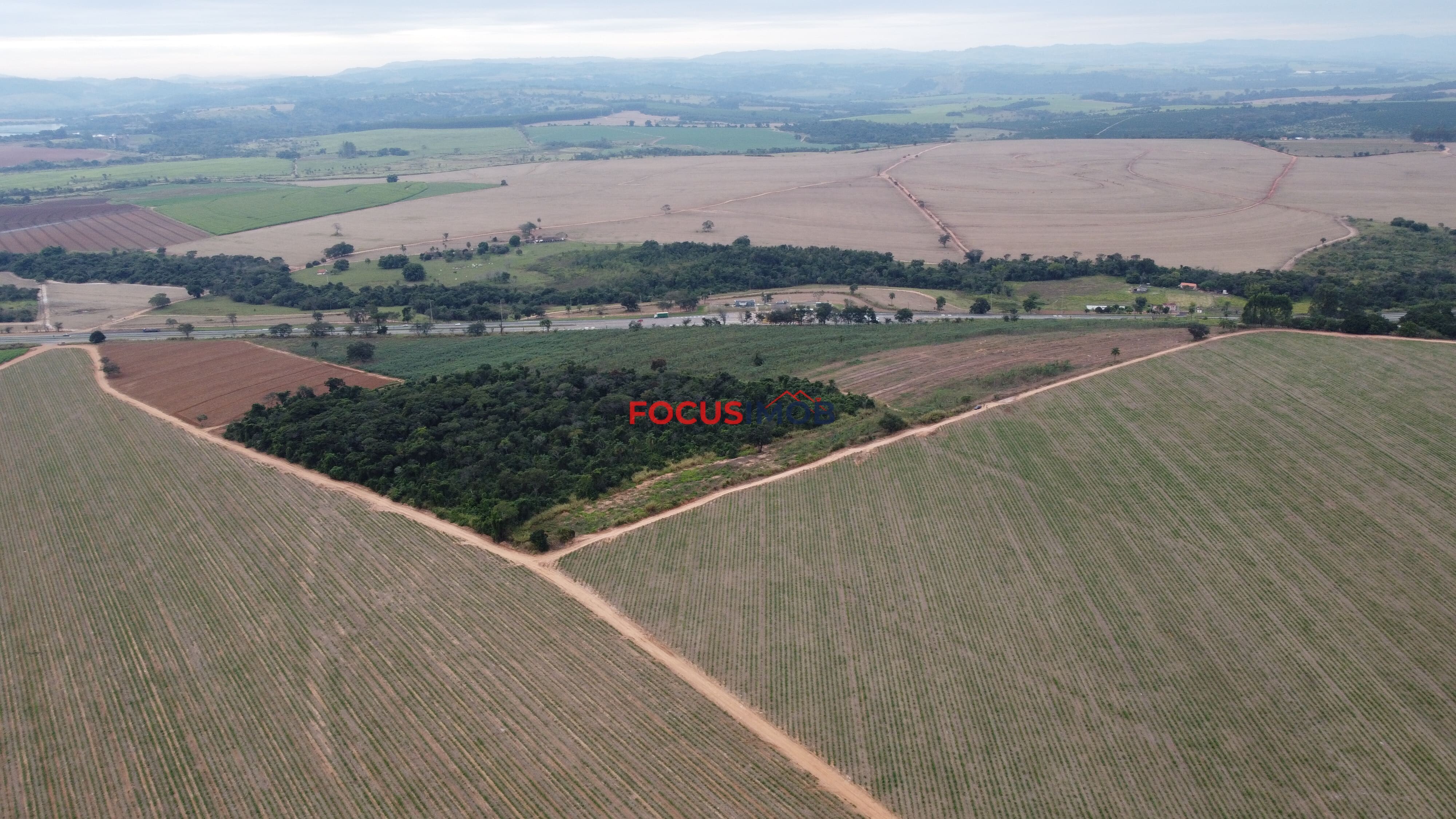 Oportunidade Única! Área de 6 Alqueires à Venda em Casa Branca/SP