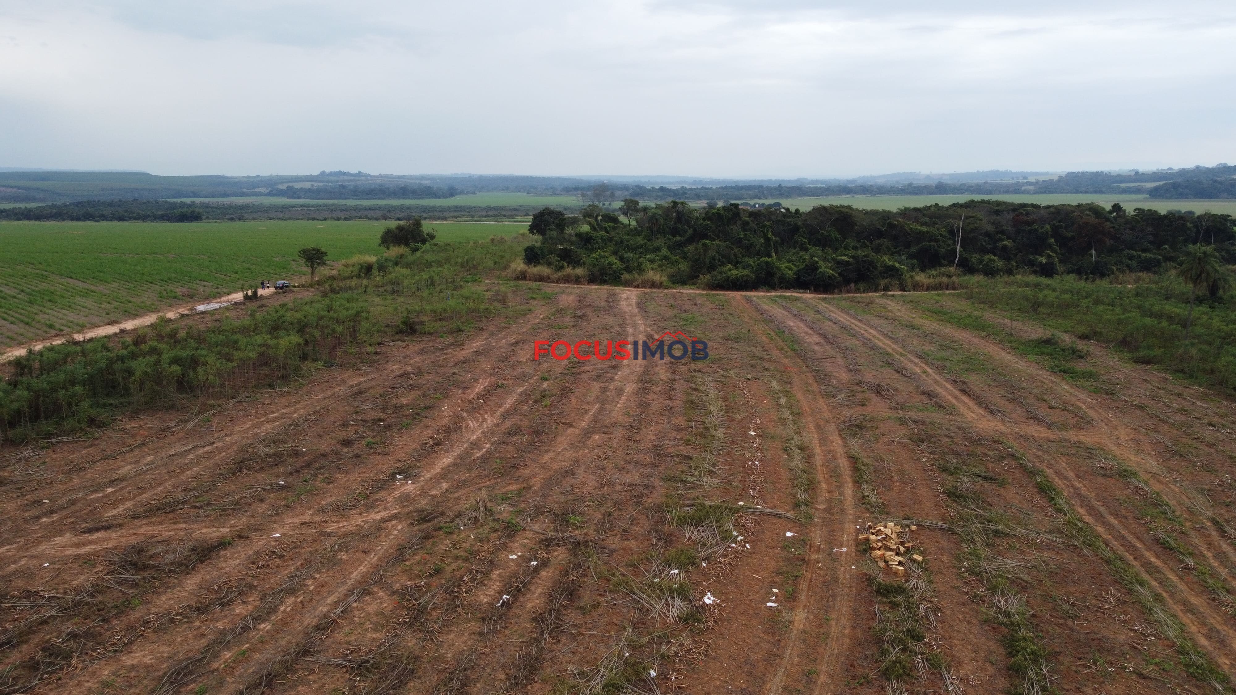 Oportunidade Única! Área de 6 Alqueires à Venda em Casa Branca/SP