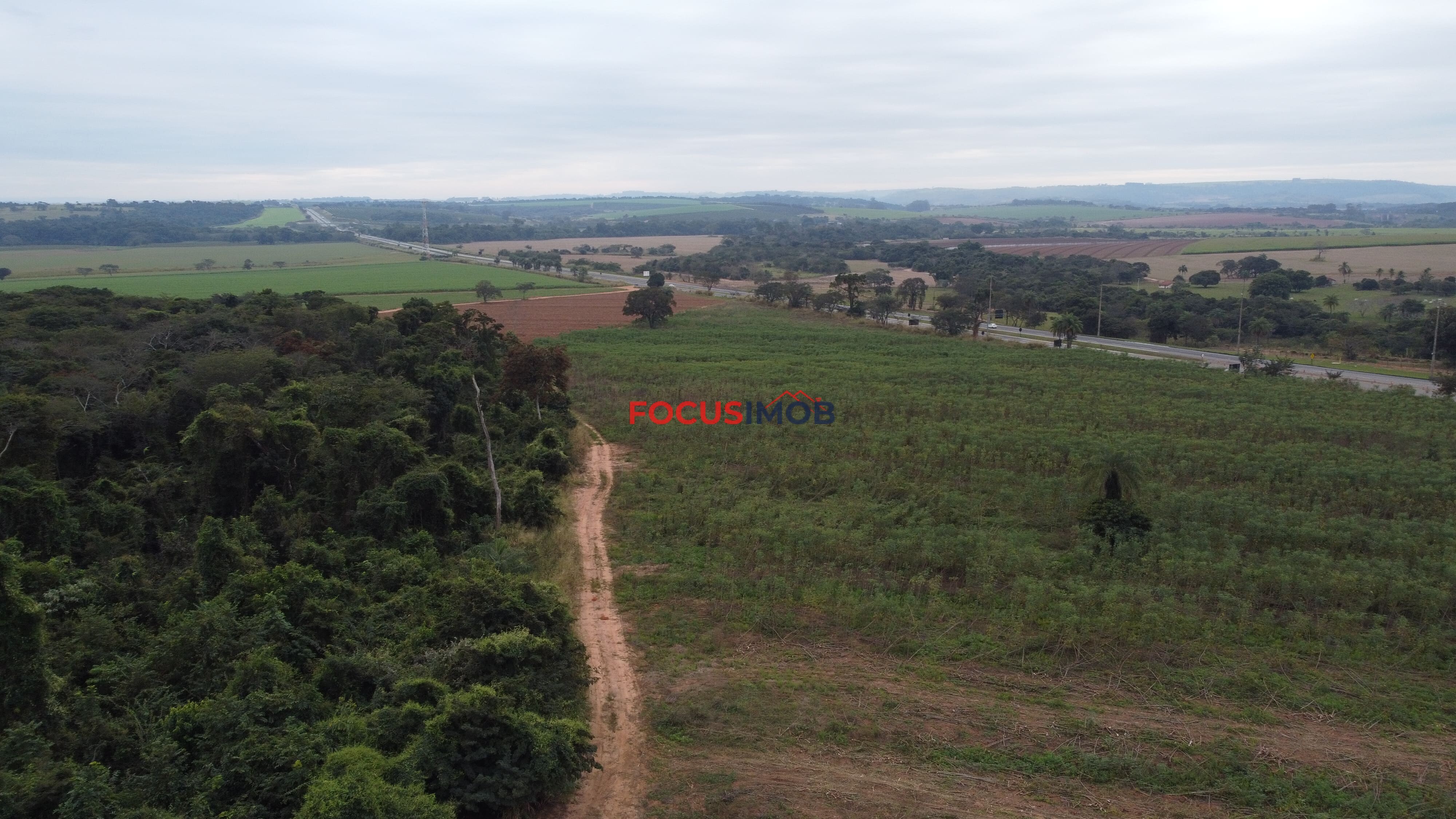 Oportunidade Única! Área de 6 Alqueires à Venda em Casa Branca/SP