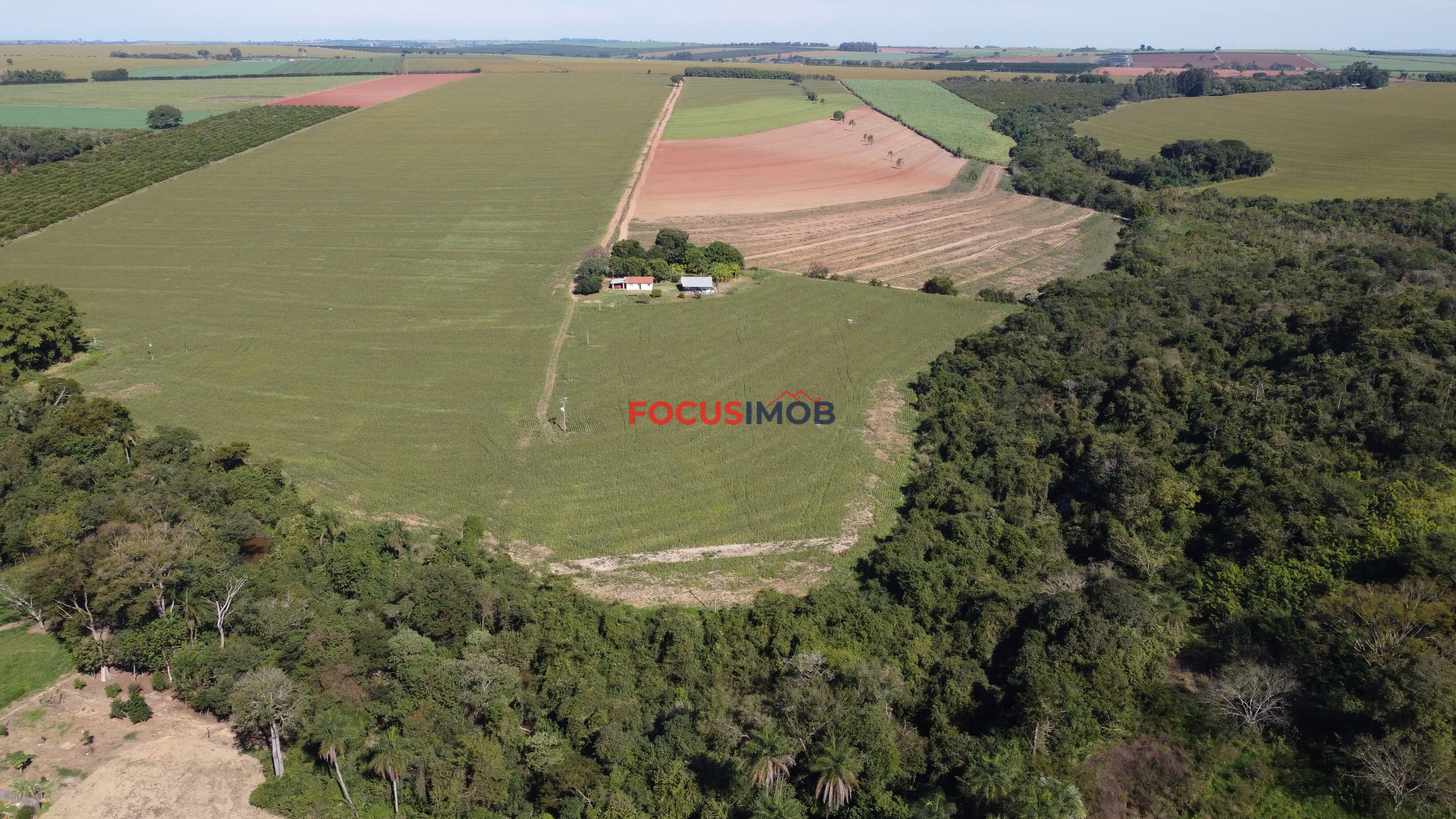 Excelente Sítio de 2 Alqueires em Conchal – Fácil Acesso e Documentação OK