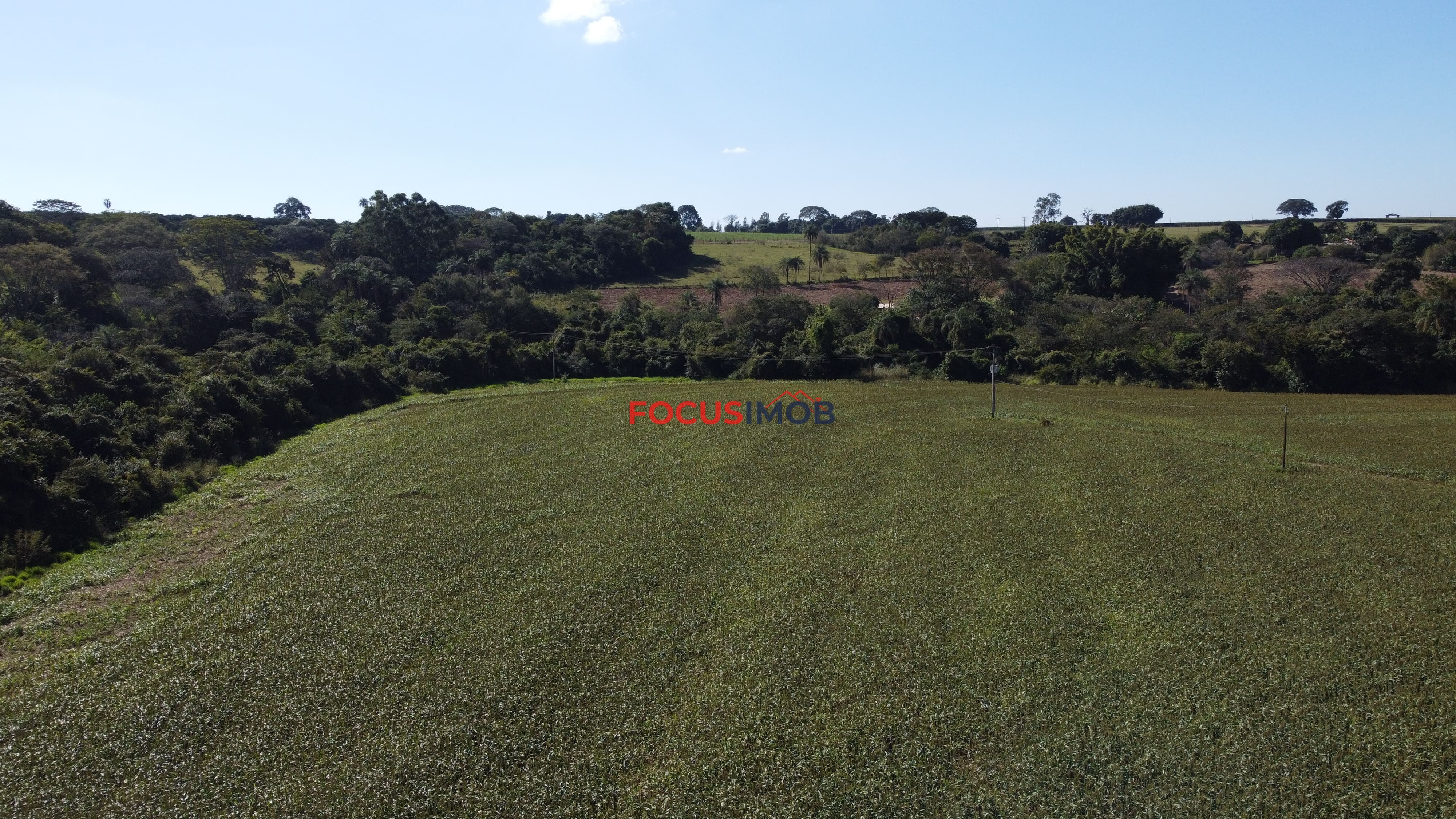 Excelente Sítio de 2 Alqueires em Conchal – Fácil Acesso e Documentação OK