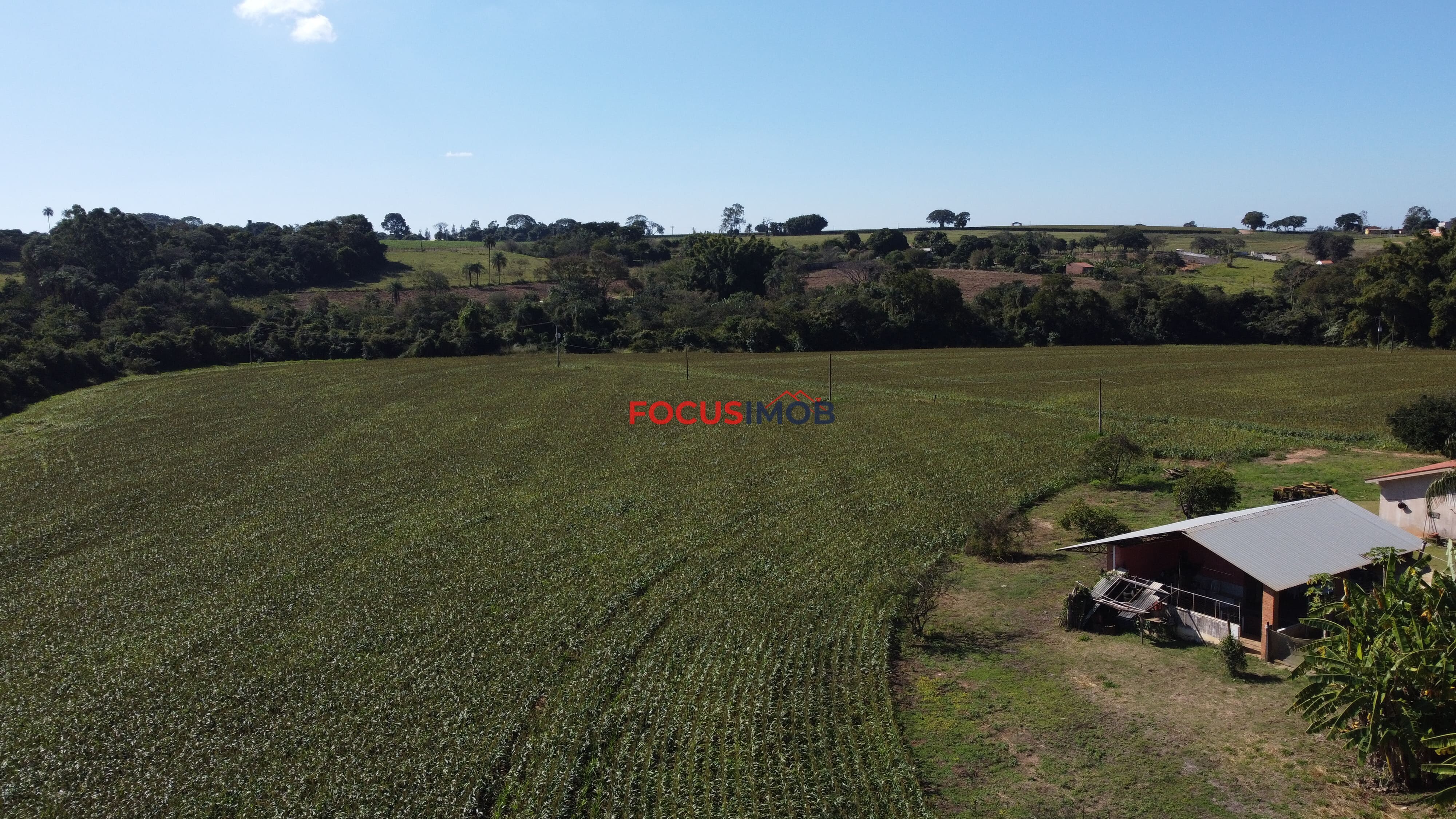 Excelente Sítio de 2 Alqueires em Conchal – Fácil Acesso e Documentação OK