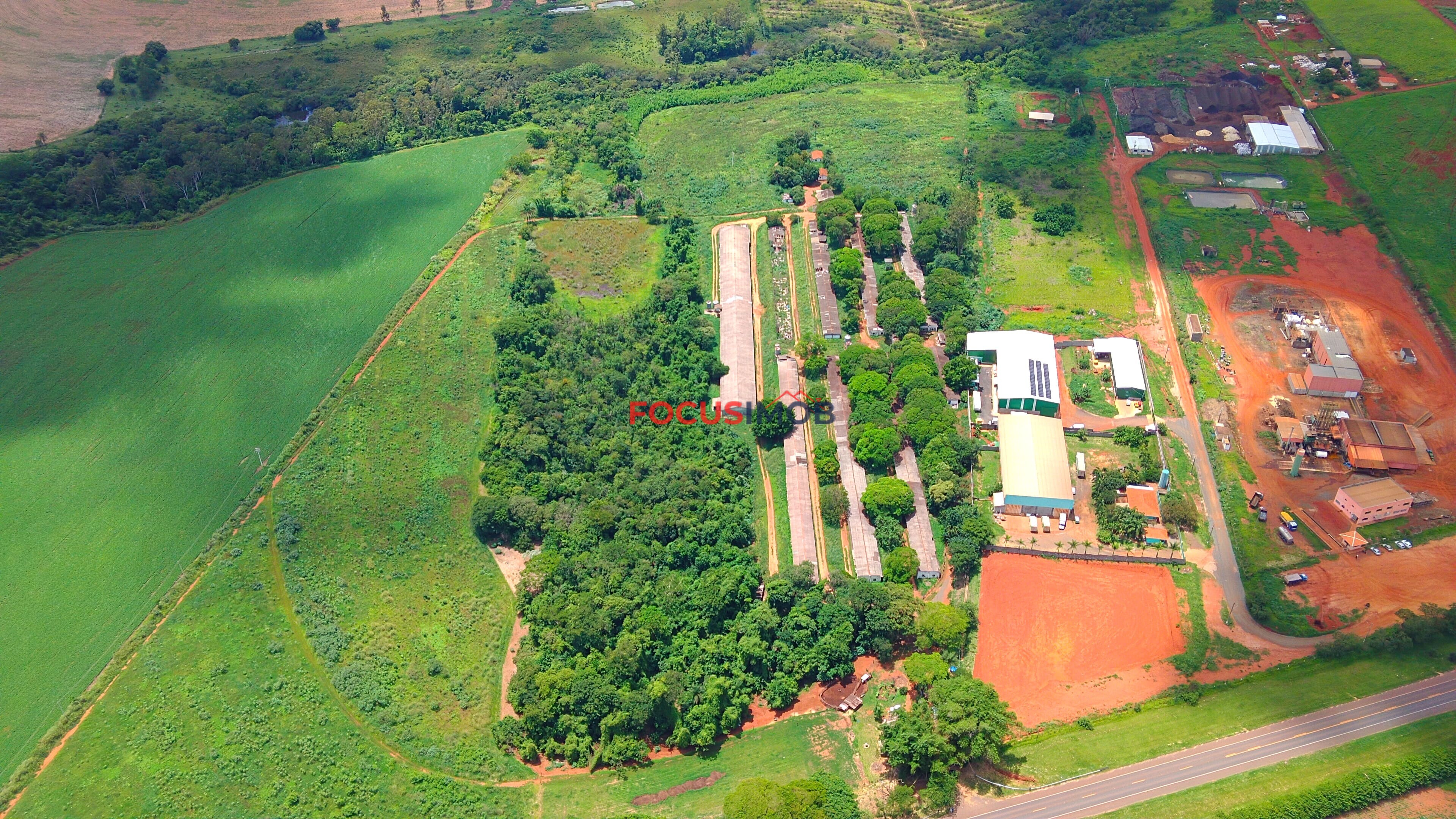 Propriedade Rural com 7 Granjas Aviárias – Estrutura Ativa e Renda Imediata