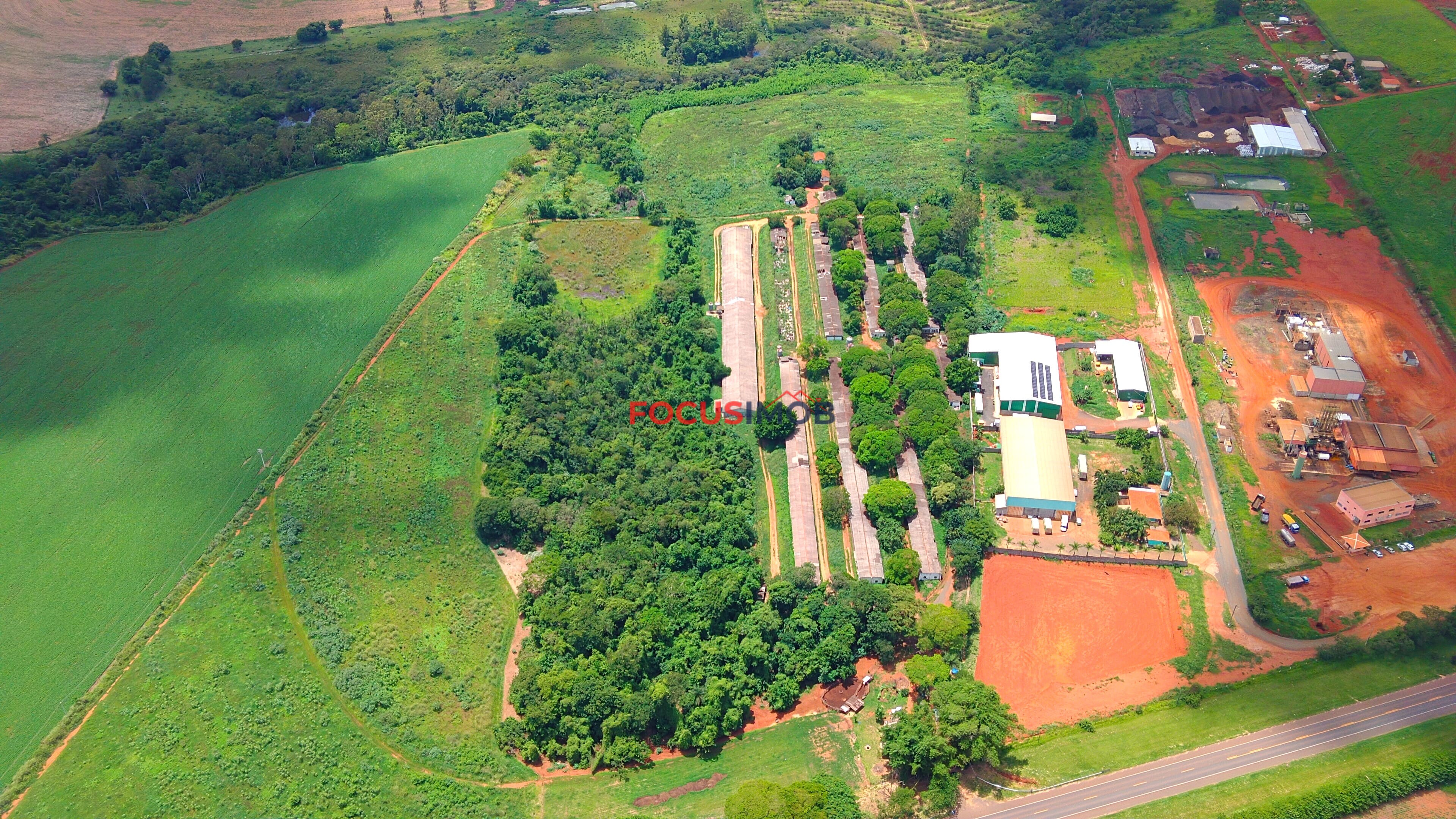 Propriedade Rural com 7 Granjas Aviárias – Estrutura Ativa e Renda Imediata