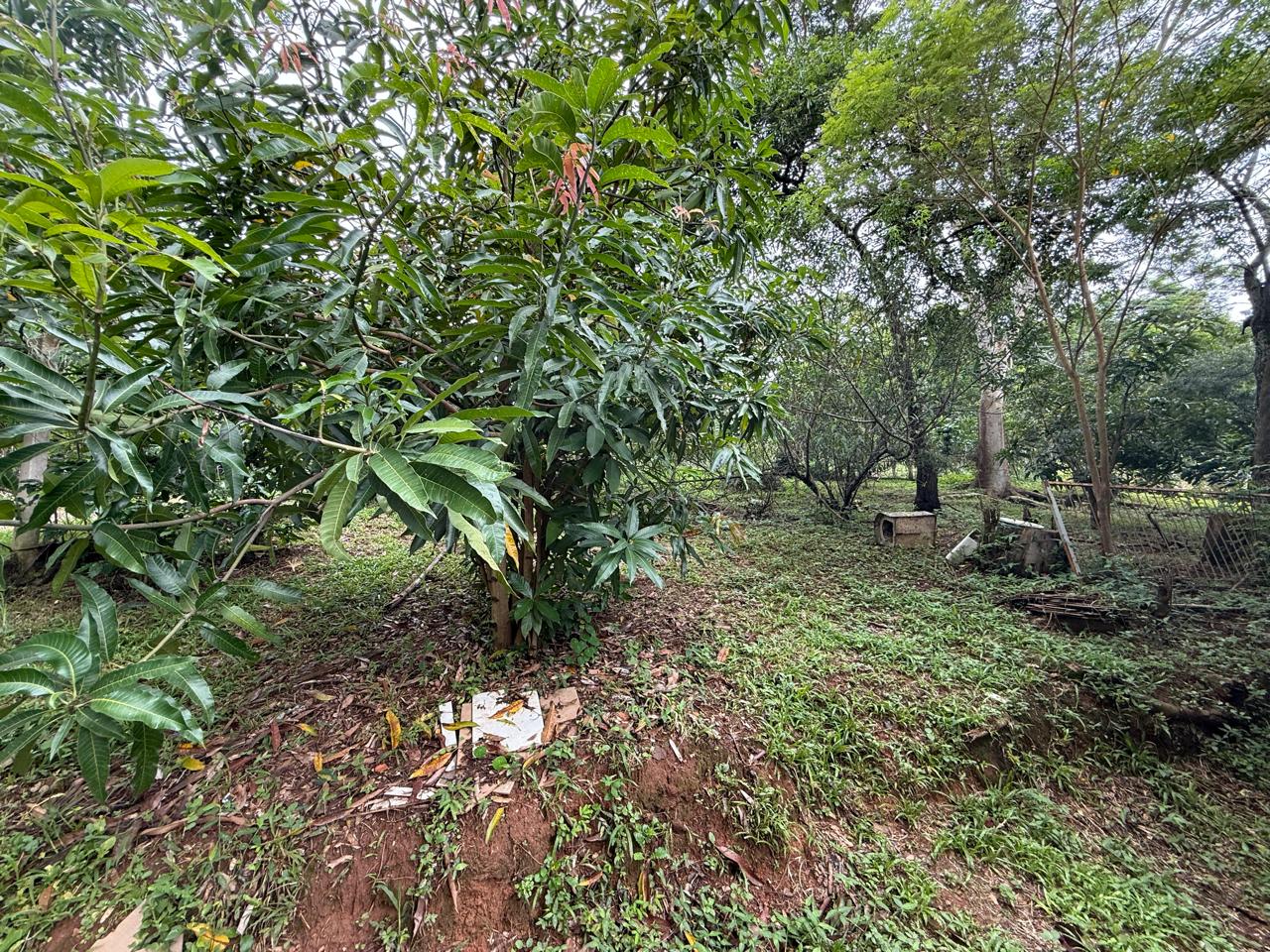 CHACARA À VENDA ROSEIRA EM CONDOMINIO