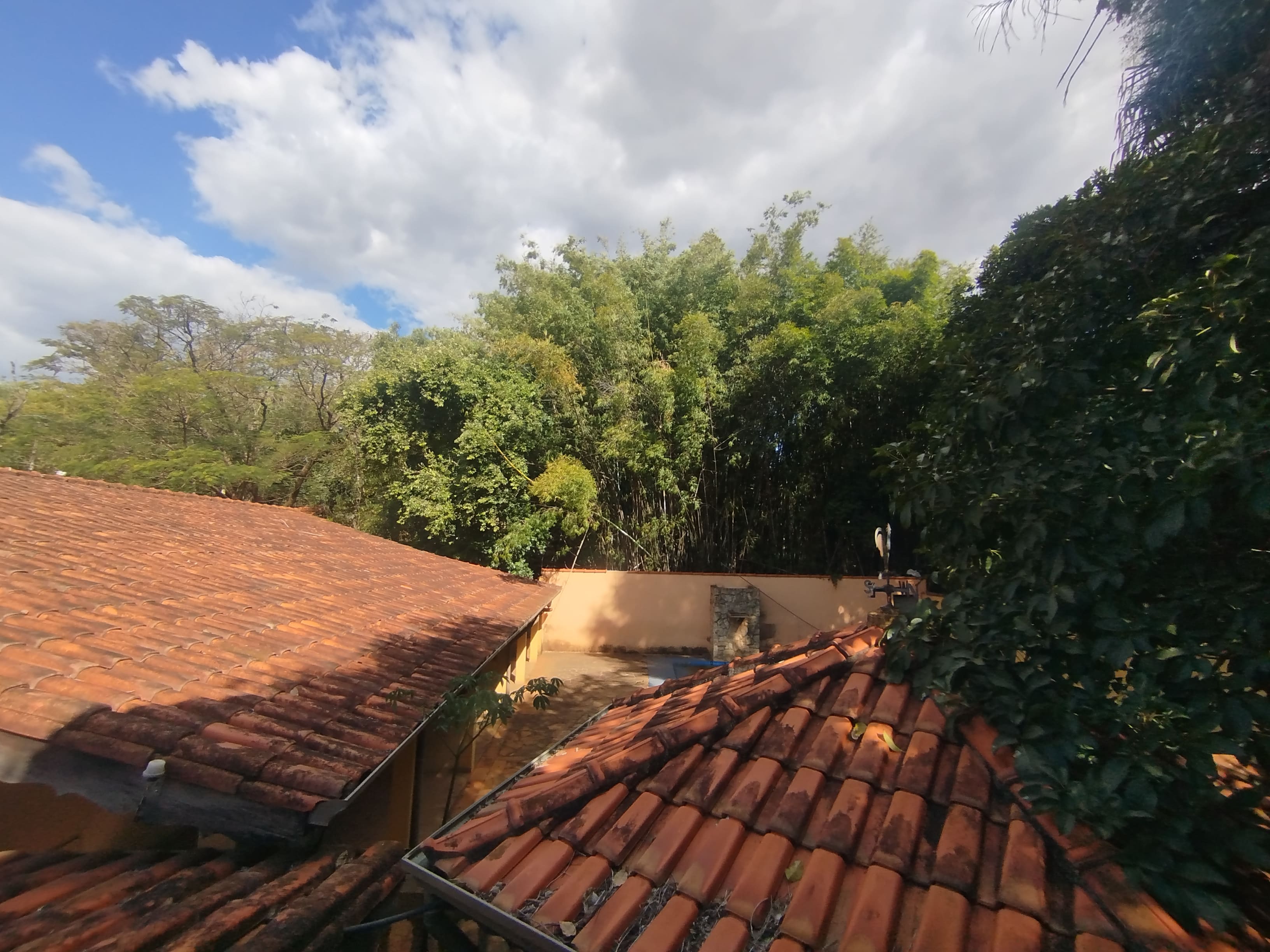 Sítio com casa colonial em excelente localização