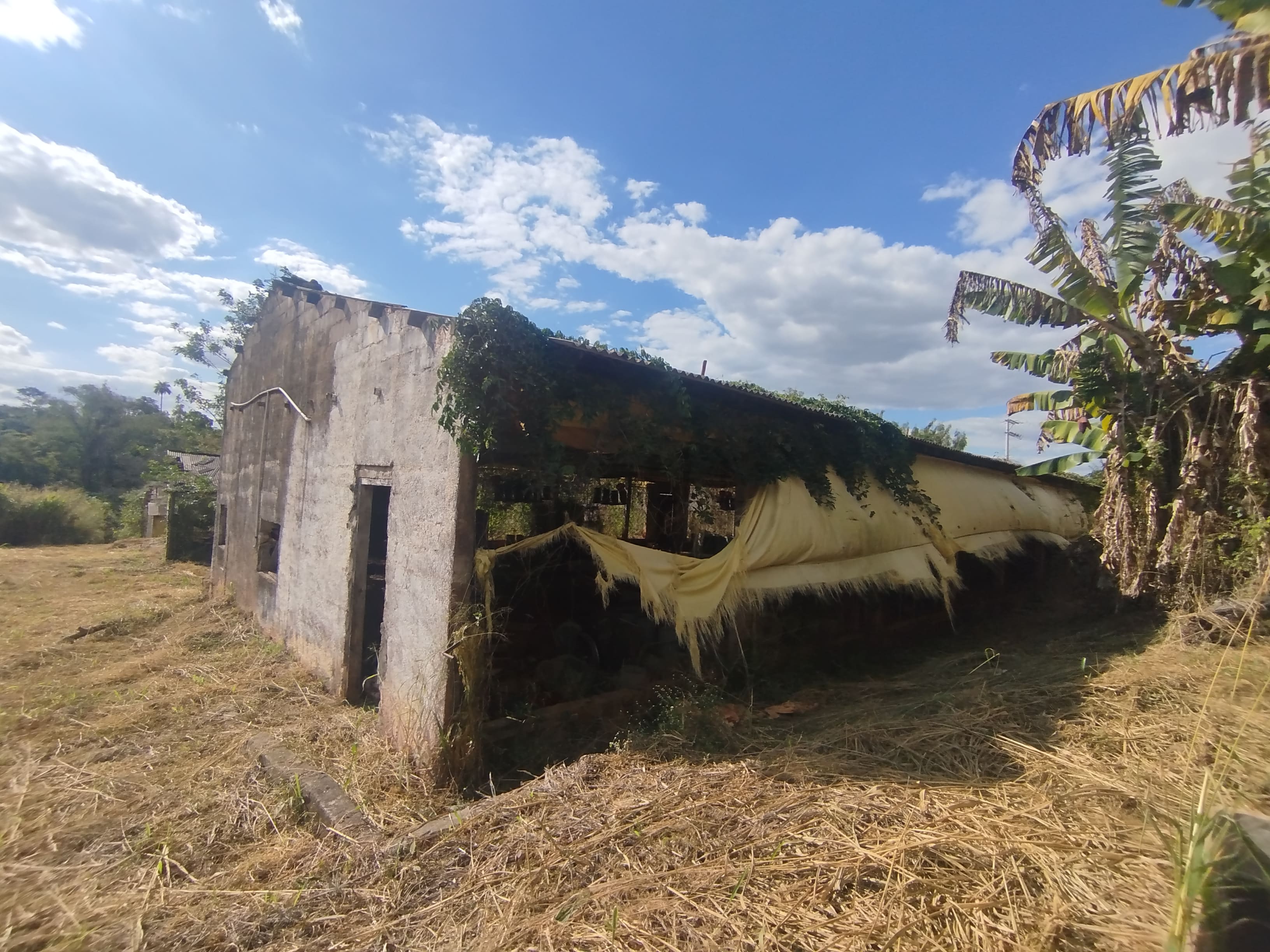Sítio com casa colonial em excelente localização