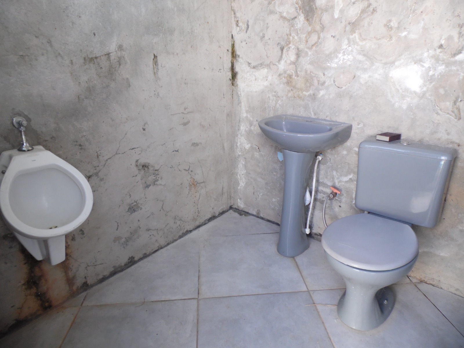 CHÁCARA CANARINHOS DA TERRA